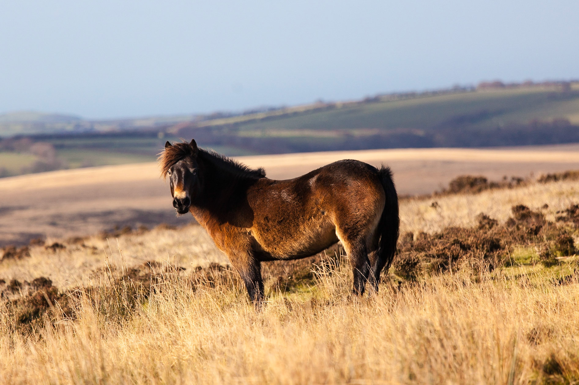 © 2016 Billy Hodgkins Photography All rights reserved.