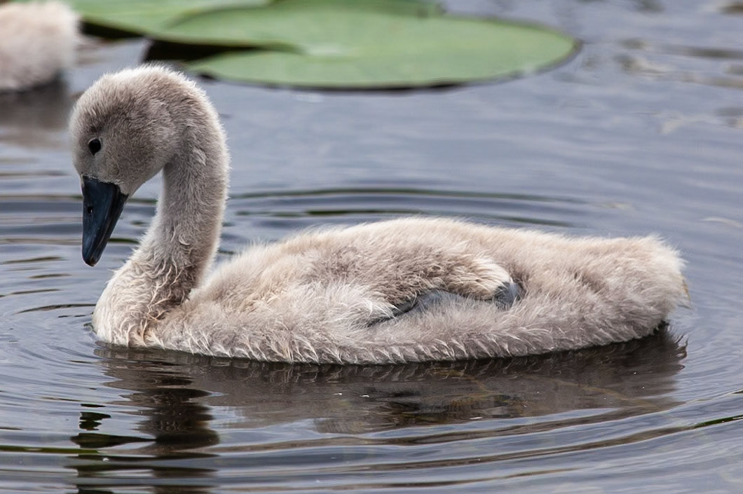 © 2020 Billy Hodgkins Photography All rights reserved.