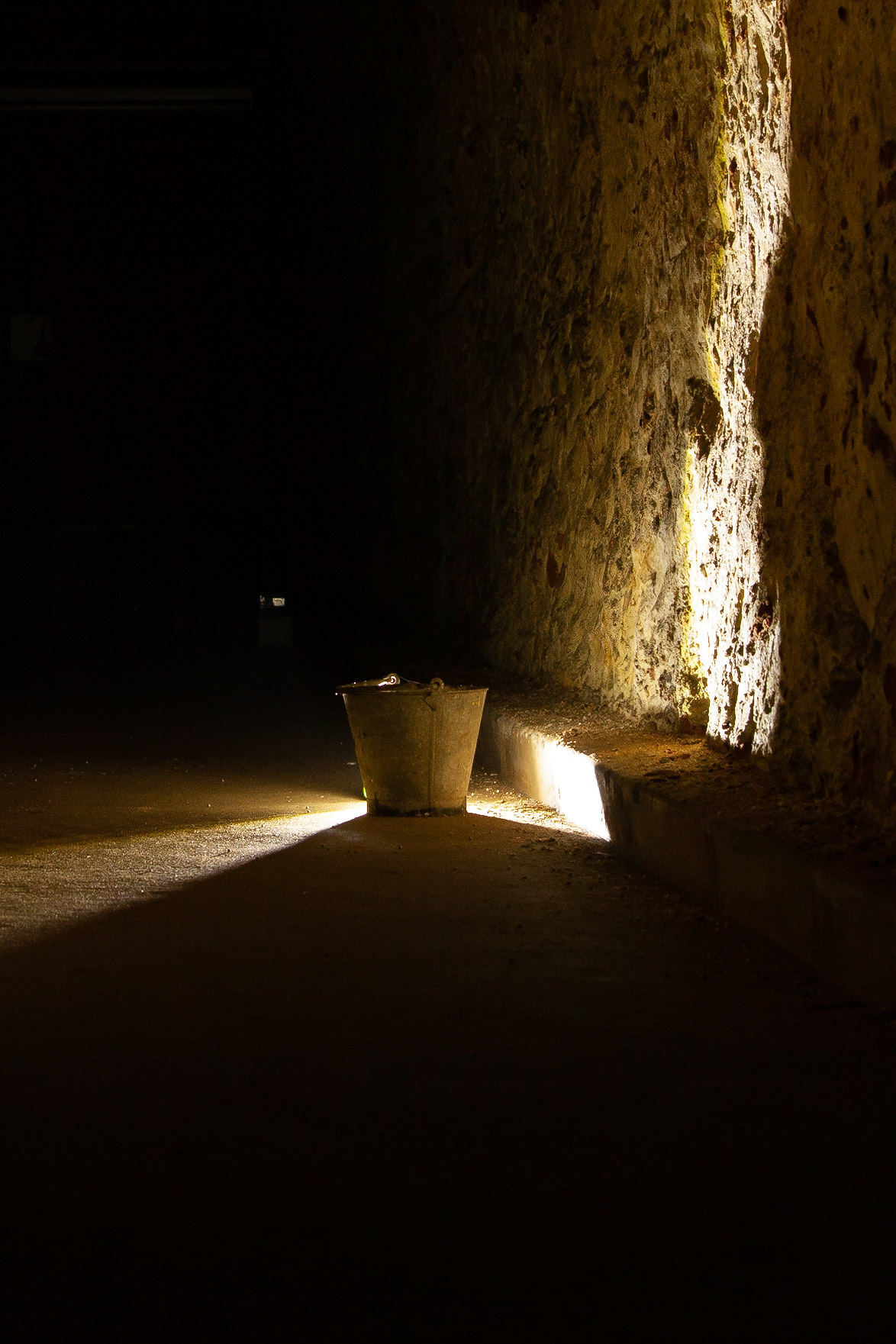 © 2019 Billy Hodgkins Photography All rights reserved.