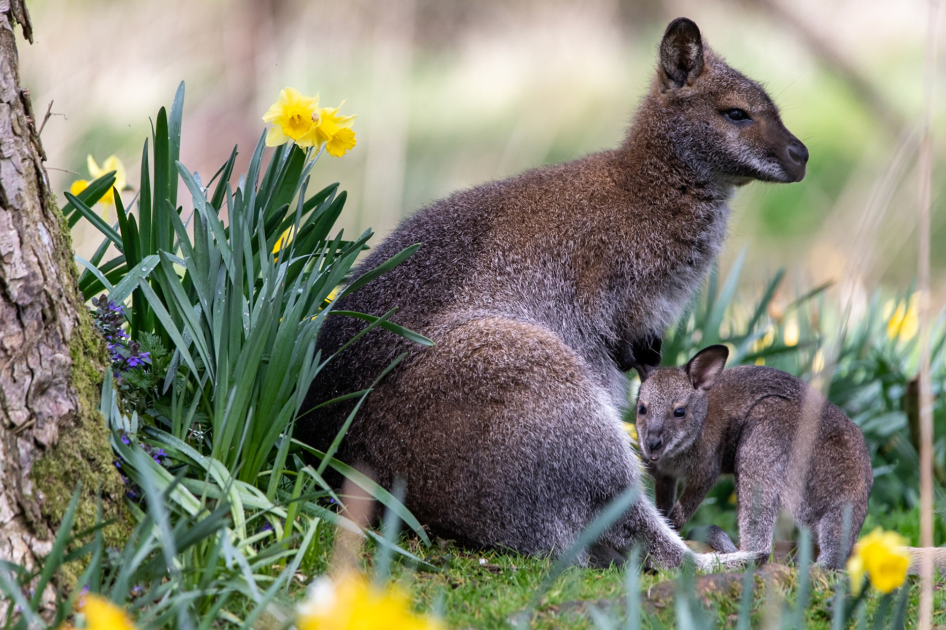 © 2022 Billy Hodgkins Photography All rights reserved.