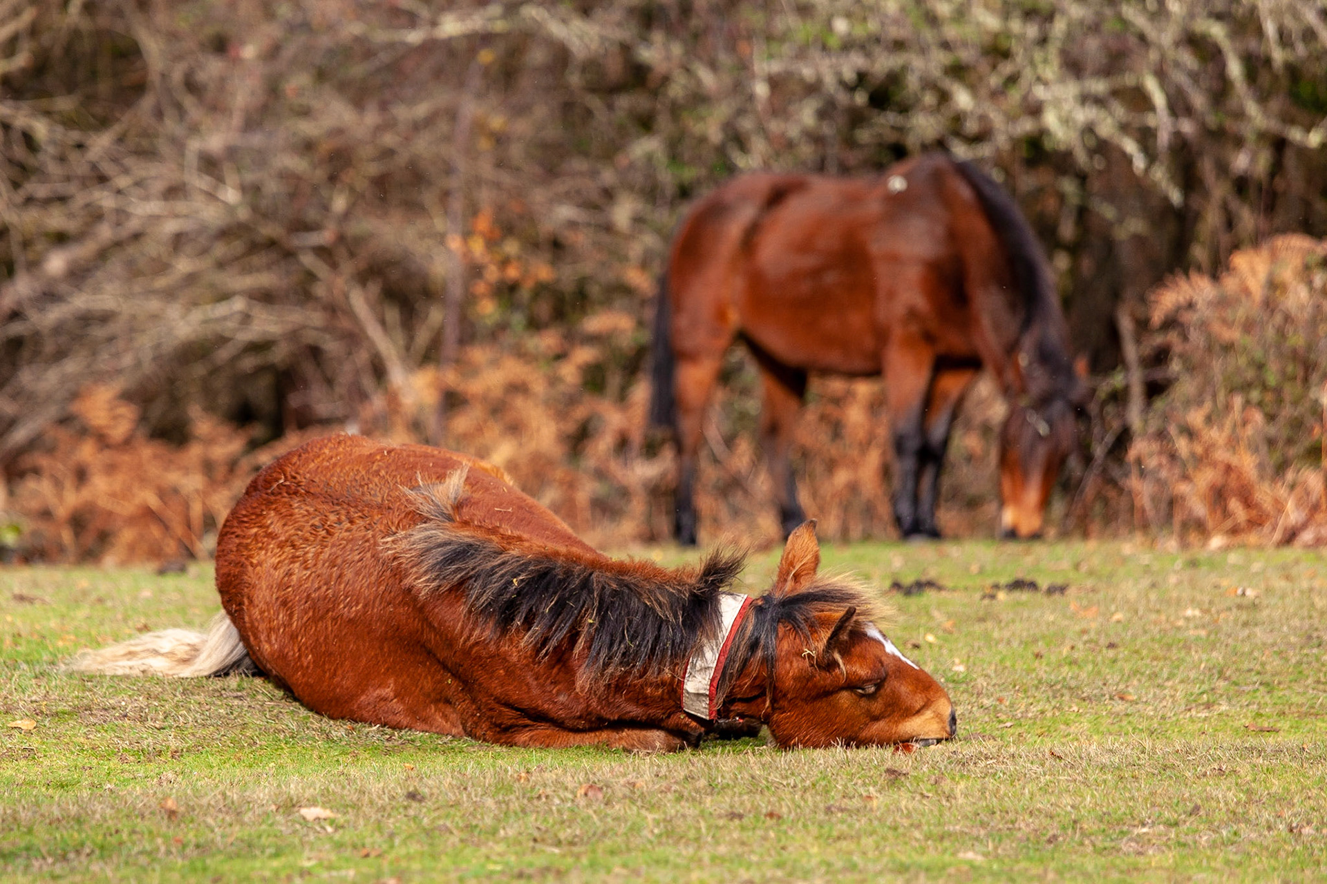 © 2018 Billy Hodgkins Photography All rights reserved.