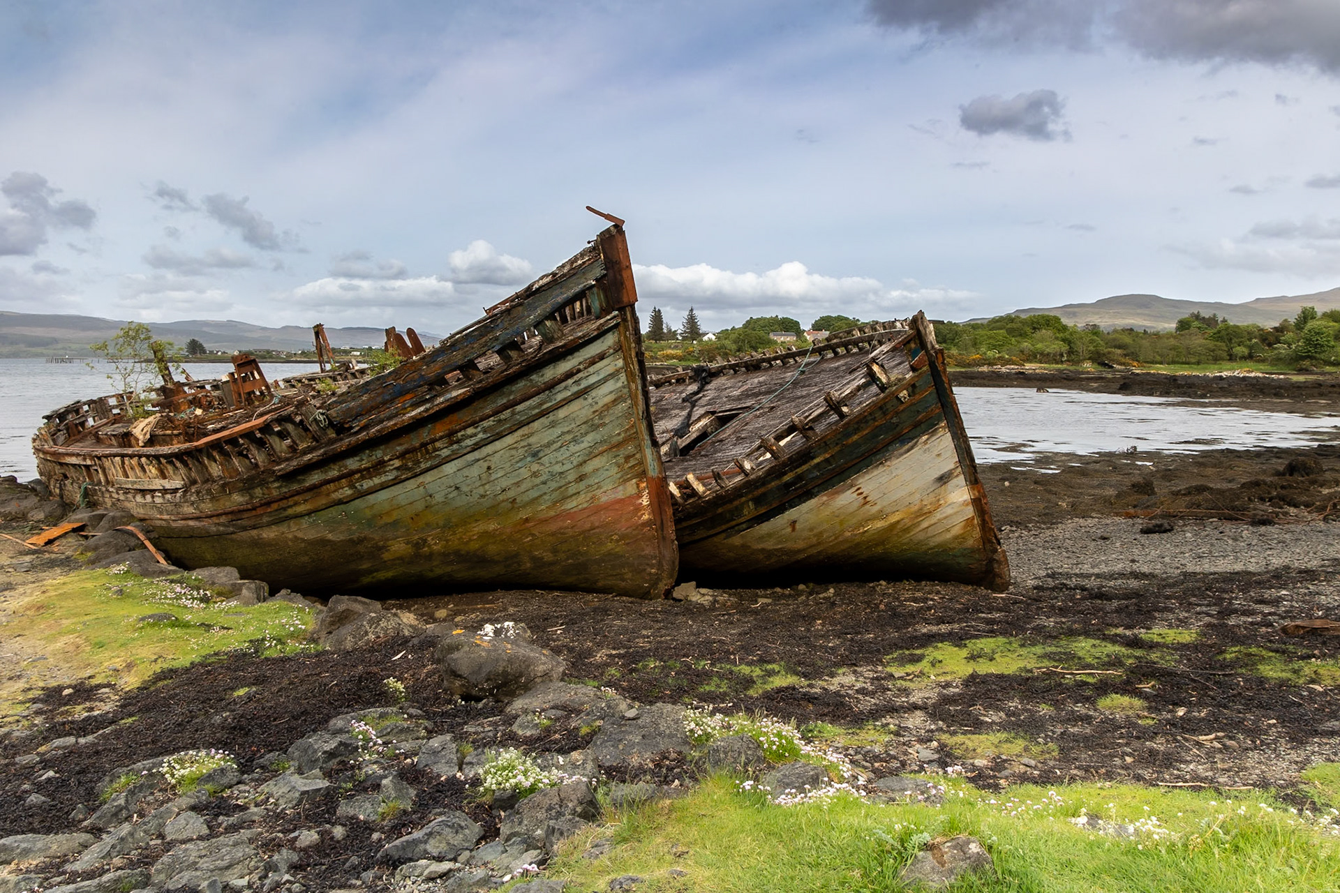 © 2023 Billy Hodgkins Photography All rights reserved.