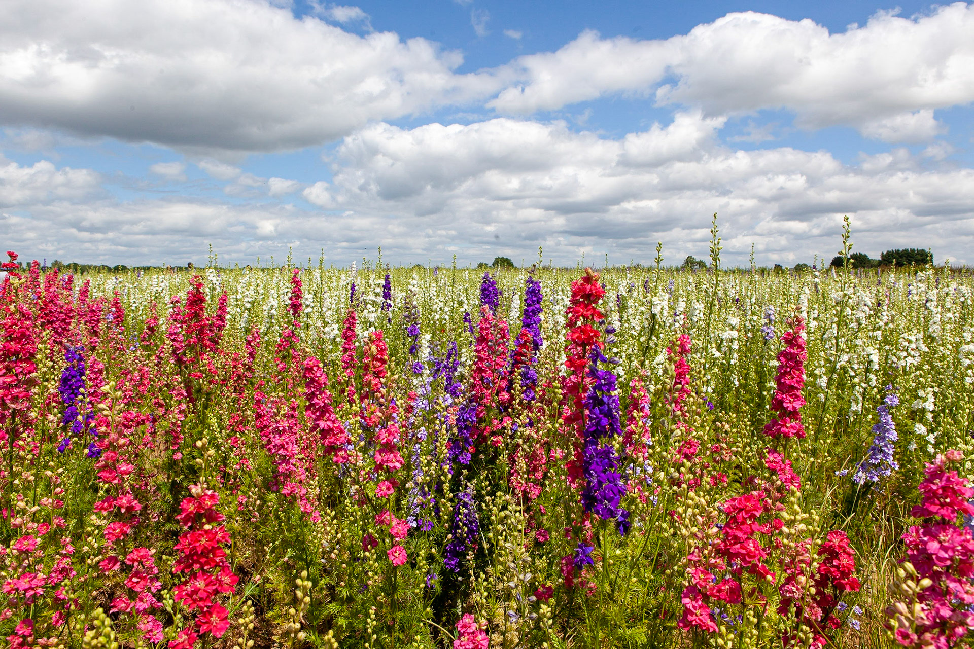 © 2019 Billy Hodgkins Photography All rights reserved.