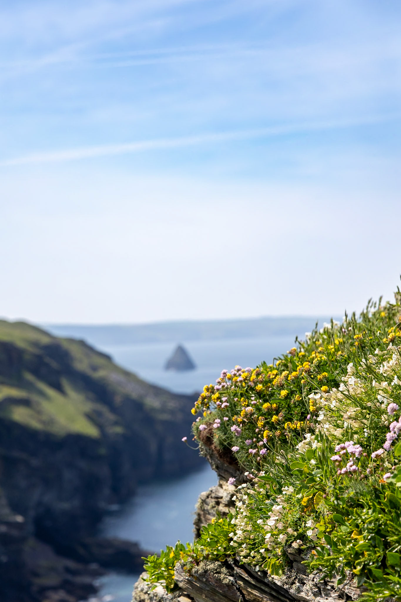 © 2024 Billy Hodgkins Photography All rights reserved.