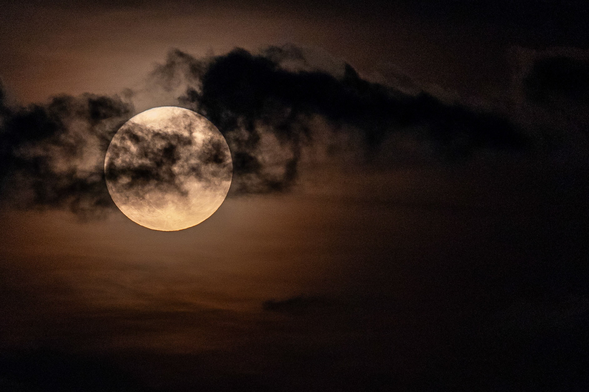 © 2023 Billy Hodgkins Photography All rights reserved.