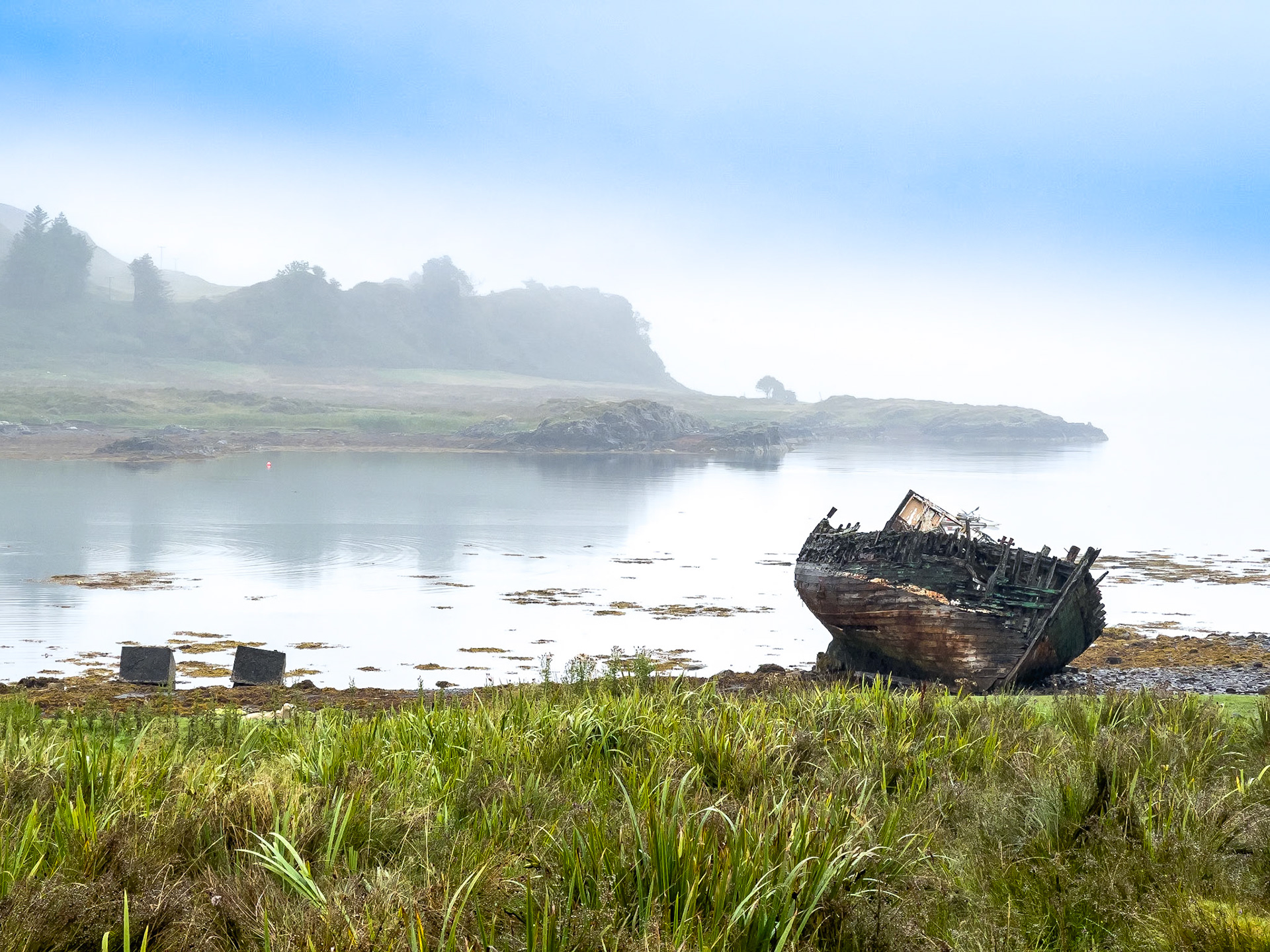 © 2021 Billy Hodgkins Photography All rights reserved.