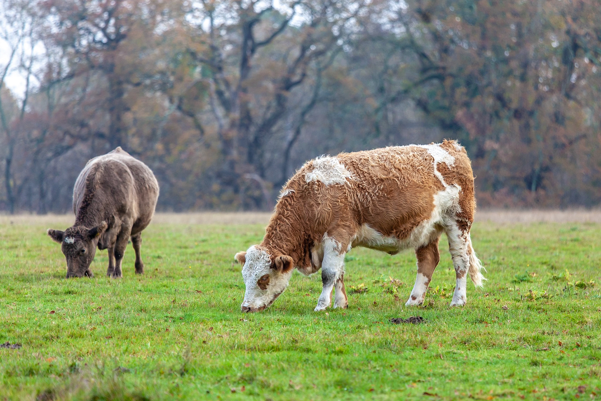 © 2018 Billy Hodgkins Photography All rights reserved.