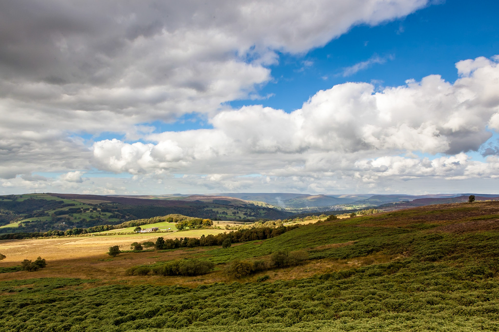 © 2015 Billy Hodgkins Photography All rights reserved.