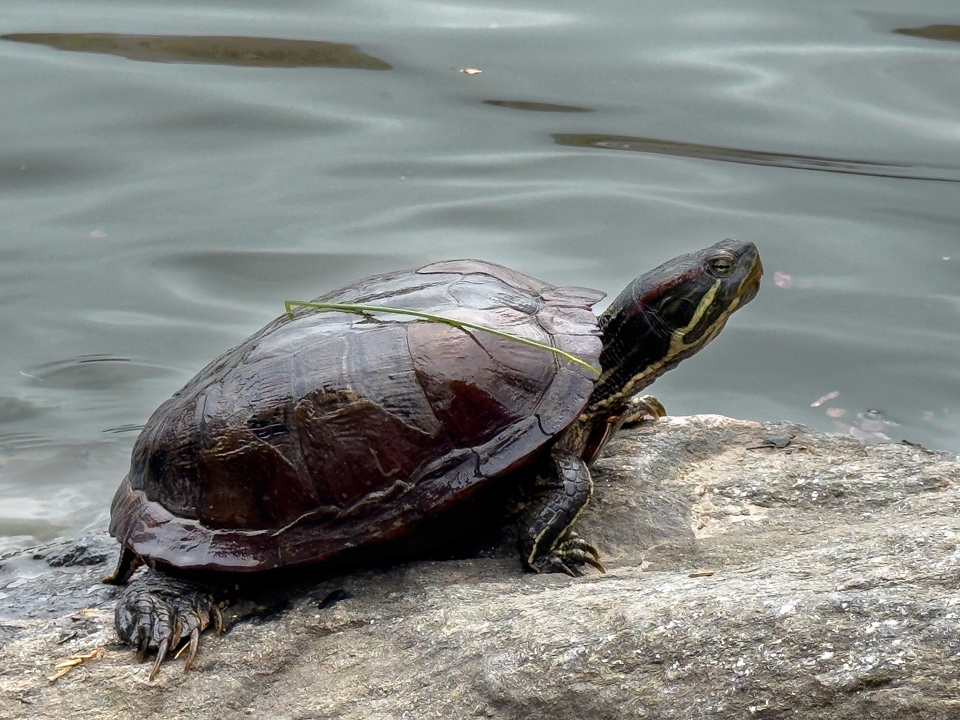 © 2024 Billy Hodgkins Photography All rights reserved.