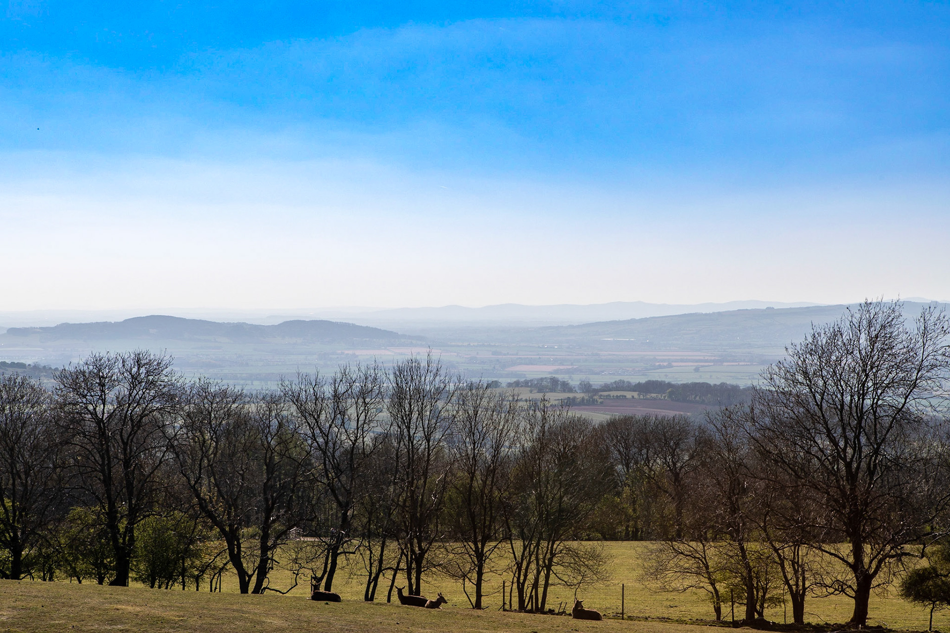 © 2021 Billy Hodgkins Photography All rights reserved.