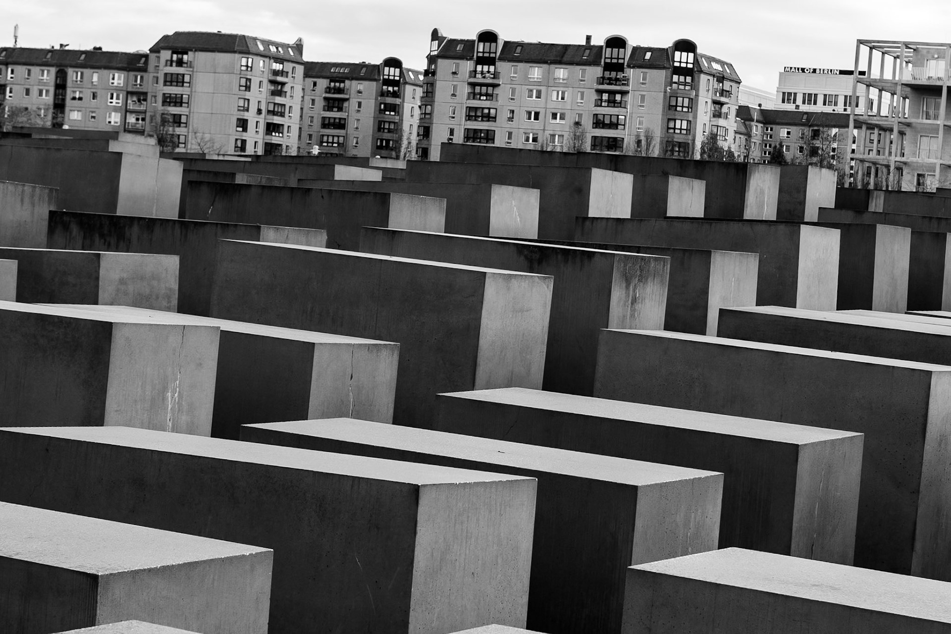 © 2019 Billy Hodgkins Photography All rights reserved.