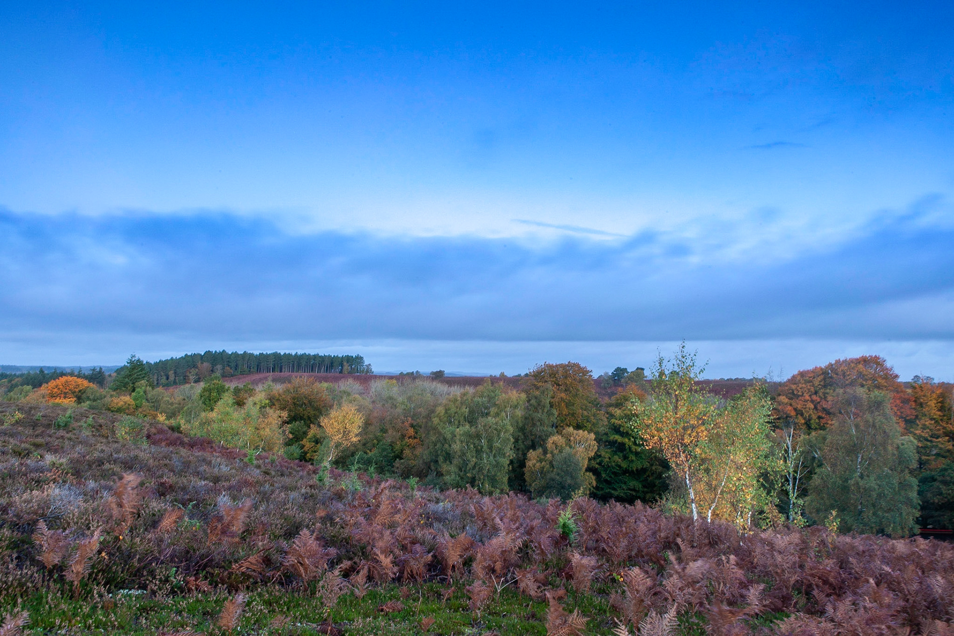 © 2020 Billy Hodgkins Photography All rights reserved.