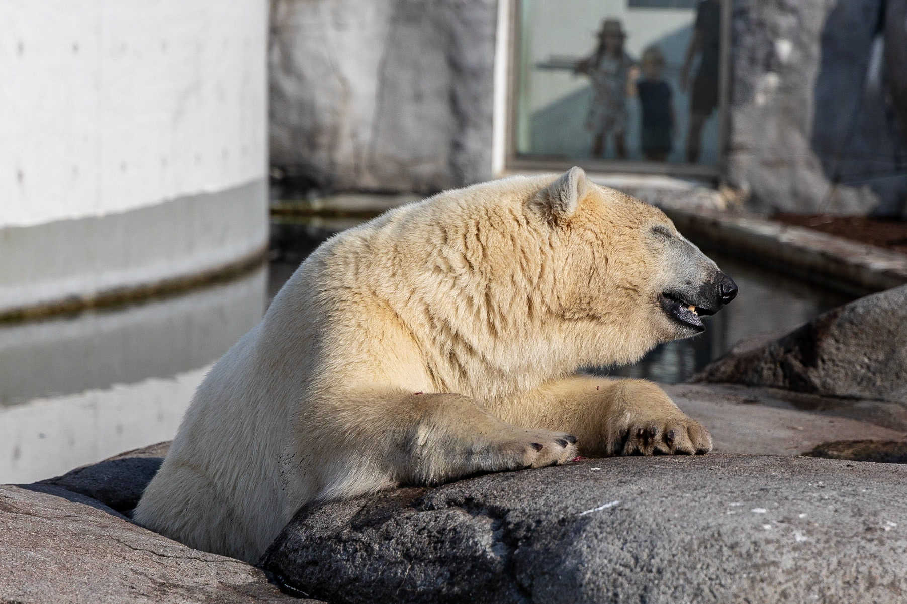 © 2023 Billy Hodgkins Photography All rights reserved.