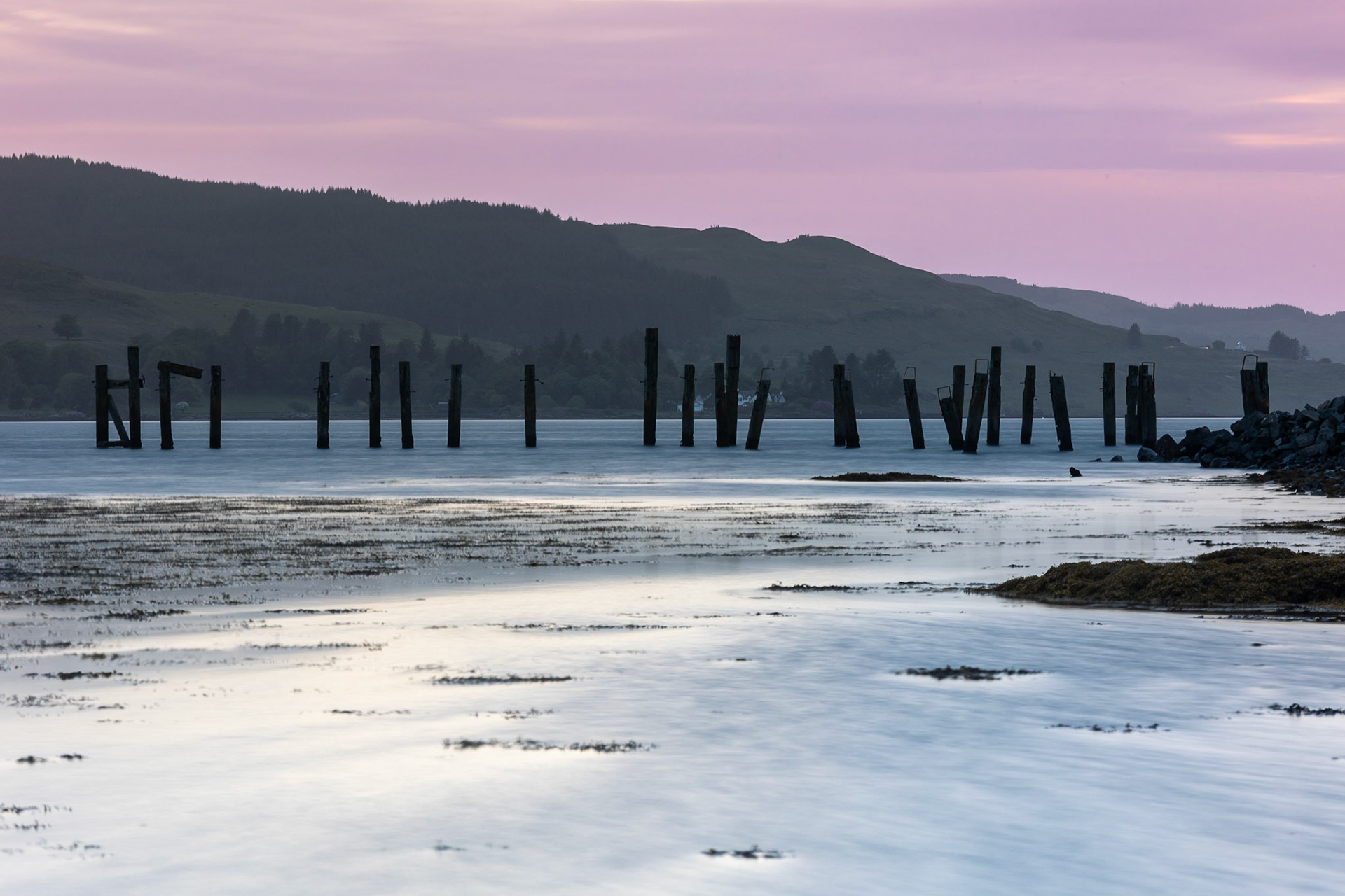 © 2023 Billy Hodgkins Photography All rights reserved.