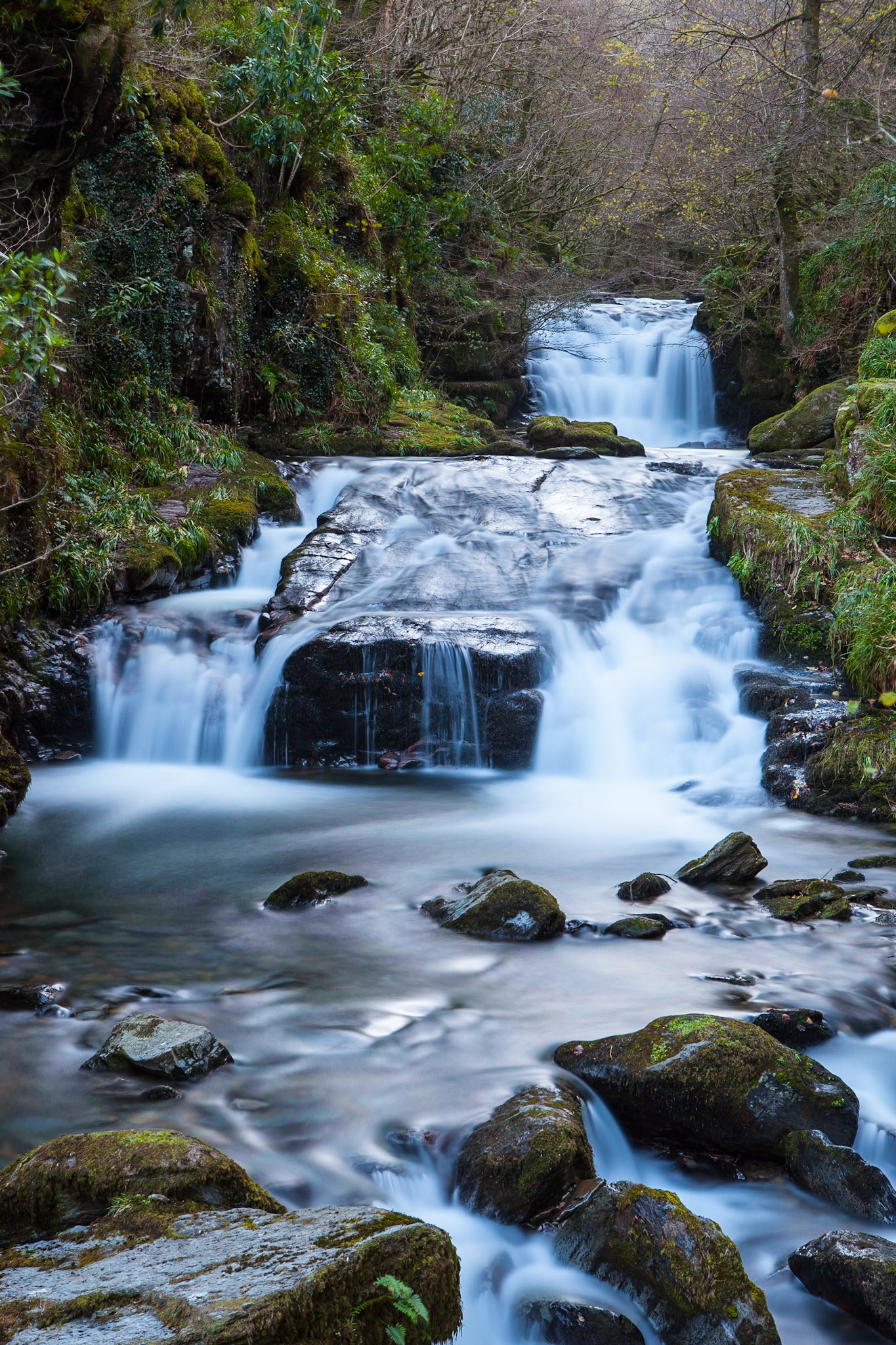 © 2016 Billy Hodgkins Photography All rights reserved.