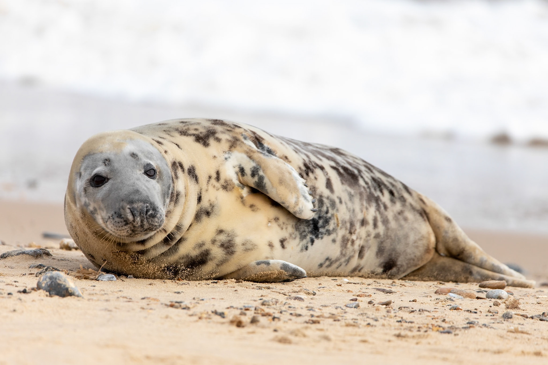 © 2022 Billy Hodgkins Photography All rights reserved.