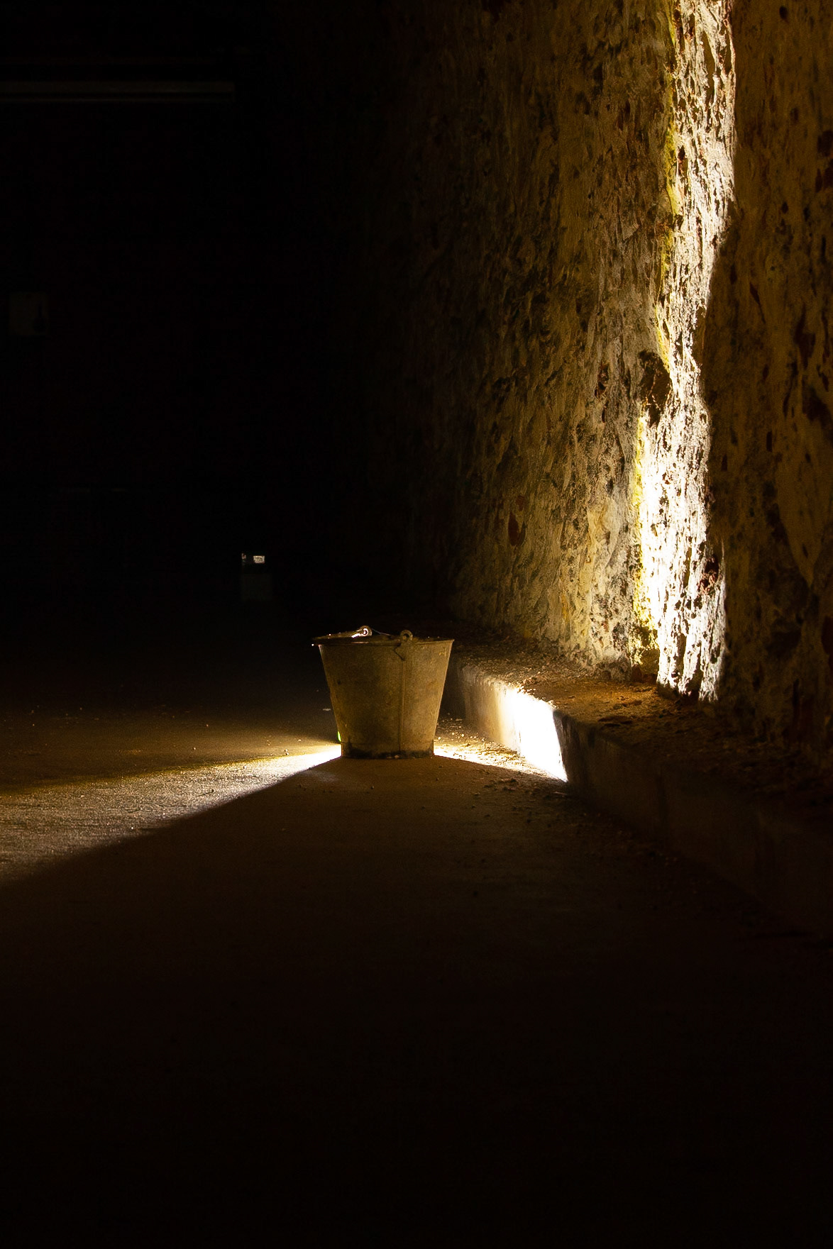 © 2019 Billy Hodgkins Photography All rights reserved.