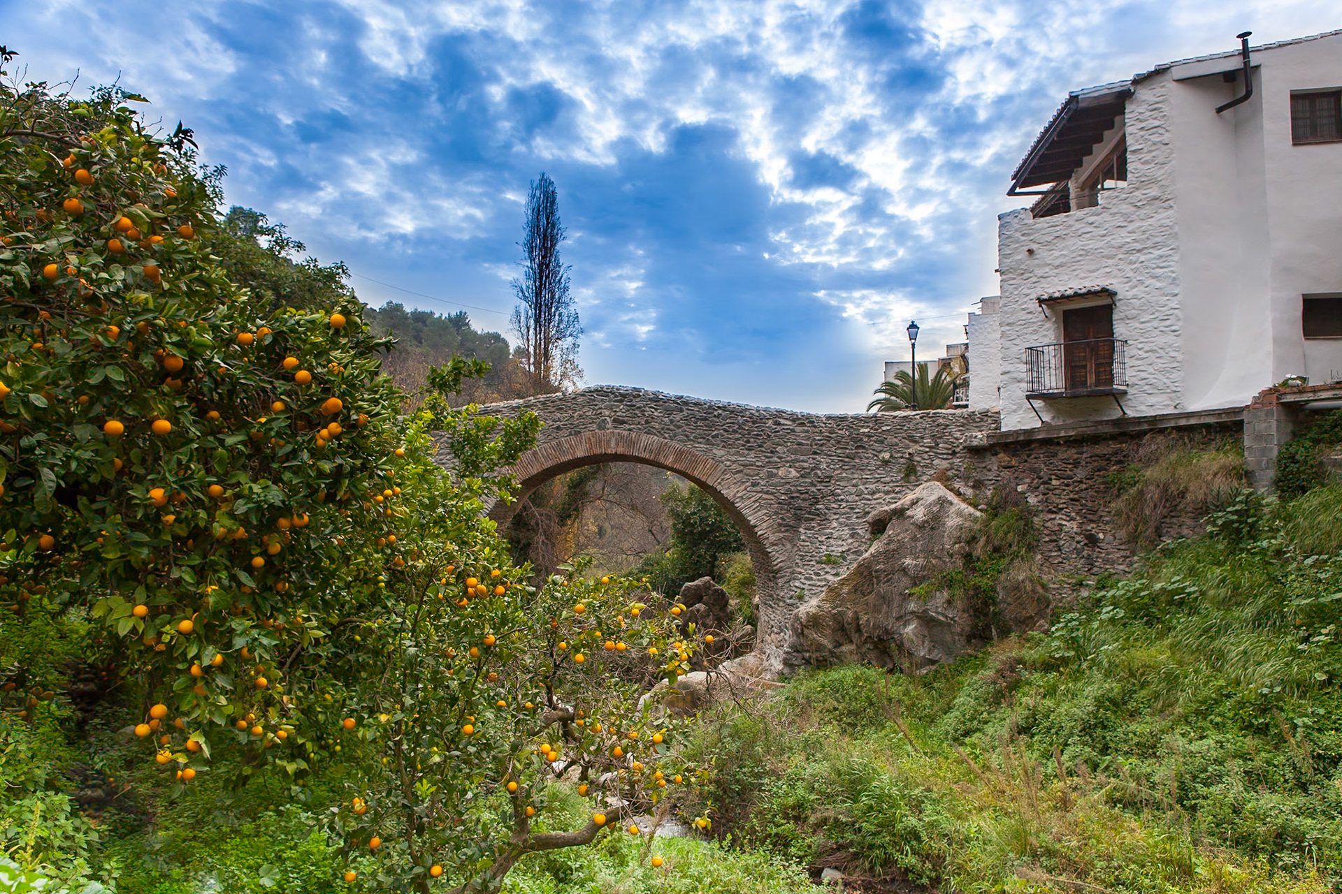 © 2015 Billy Hodgkins Photography All rights reserved.