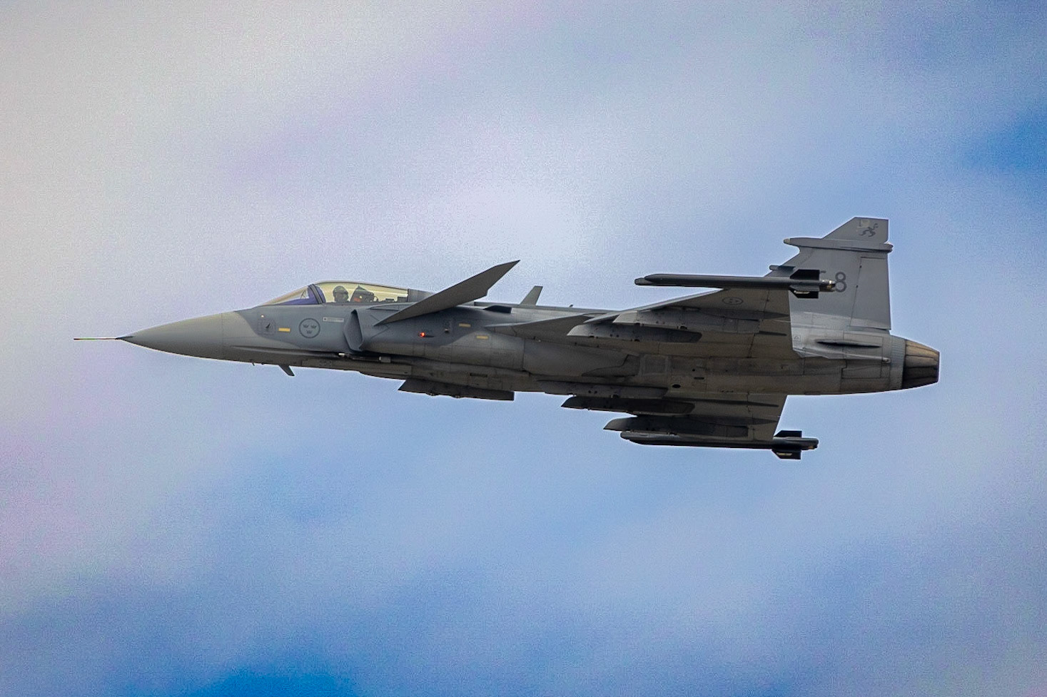 © 2023 Billy Hodgkins Photography All rights reserved.