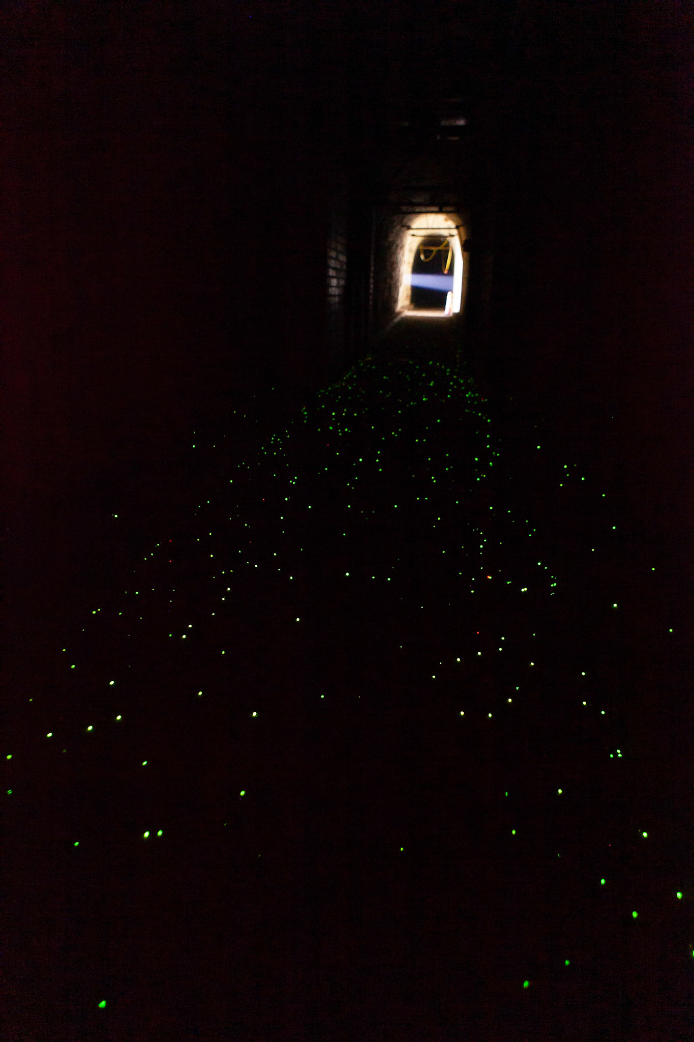 © 2019 Billy Hodgkins Photography All rights reserved.