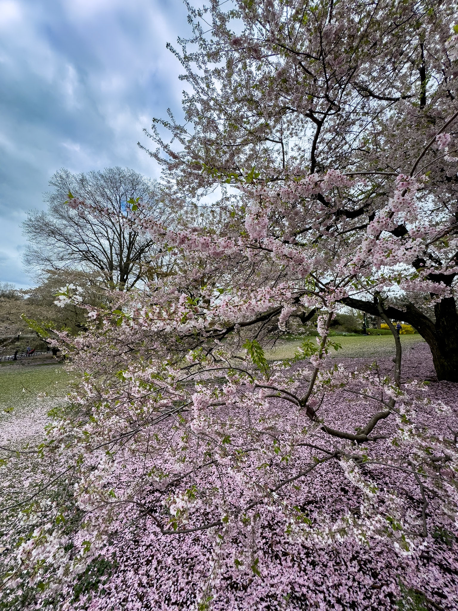 © 2024 Billy Hodgkins Photography All rights reserved.