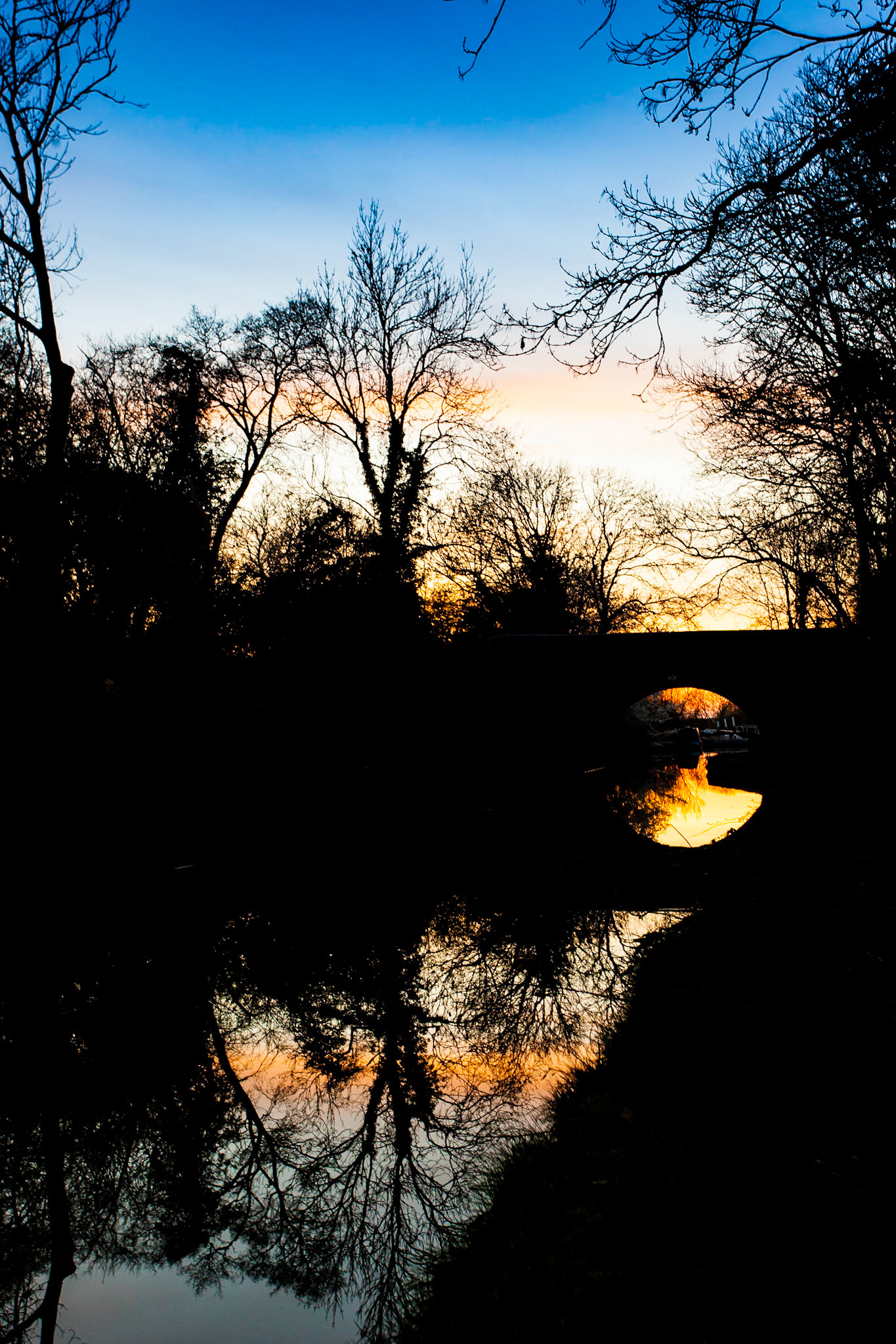 © 2021 Billy Hodgkins Photography All rights reserved.