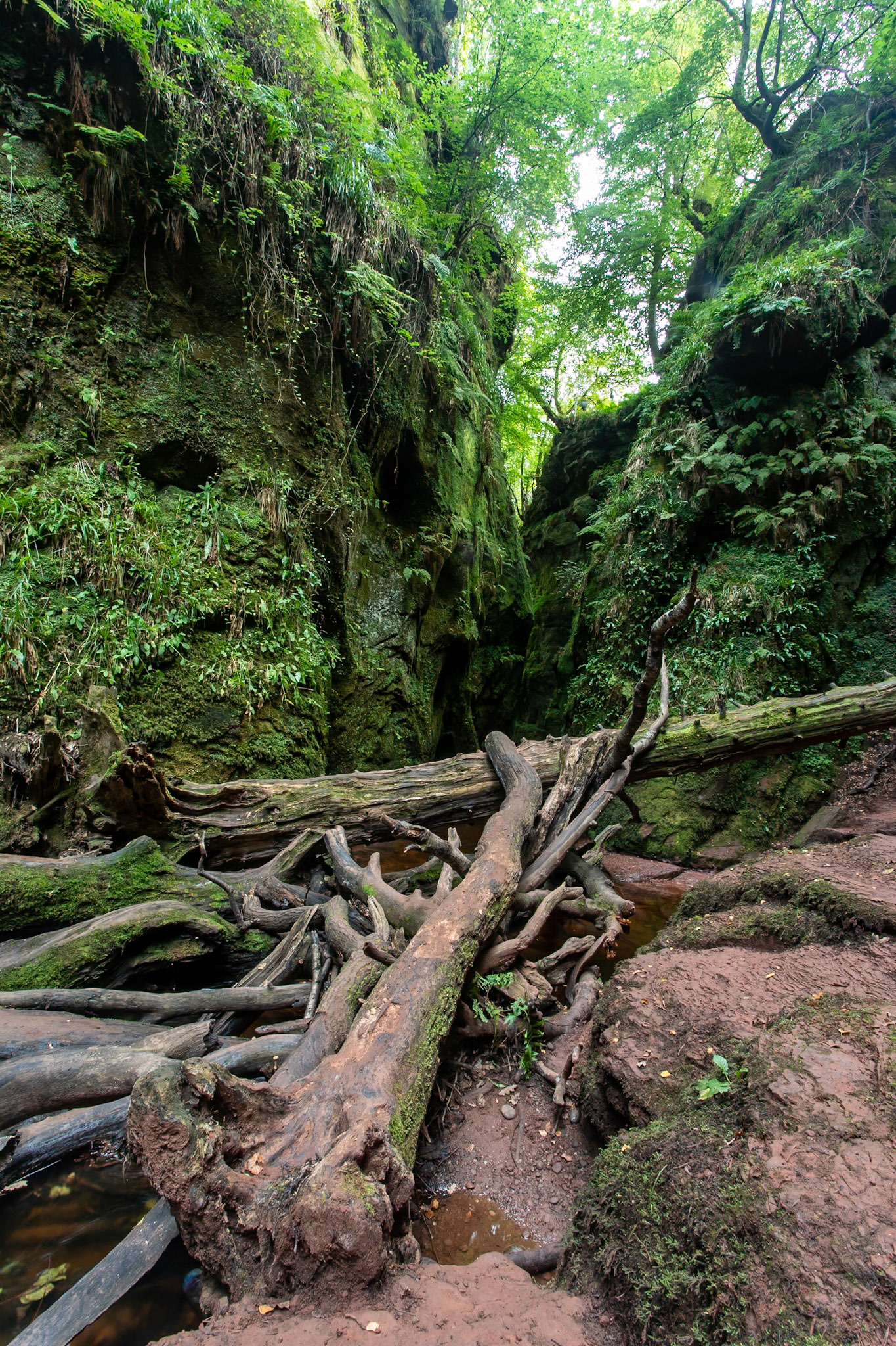 © 2021 Billy Hodgkins Photography All rights reserved.