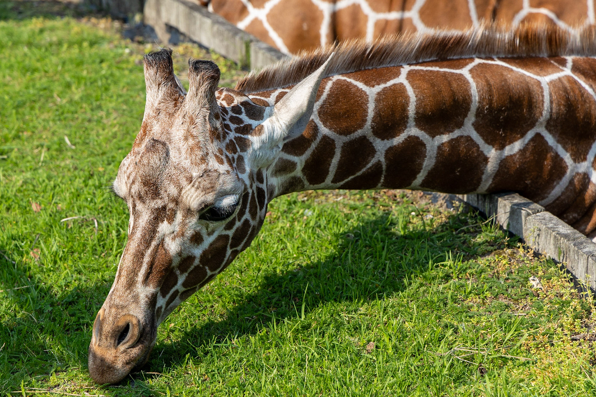 © 2023 Billy Hodgkins Photography All rights reserved.