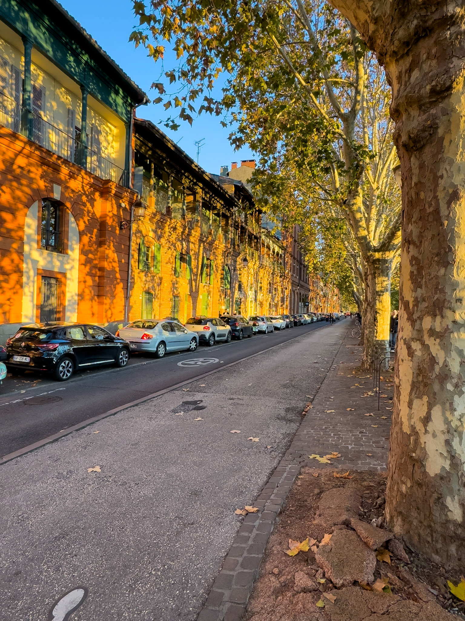 © 2023 Billy Hodgkins Photography All rights reserved.