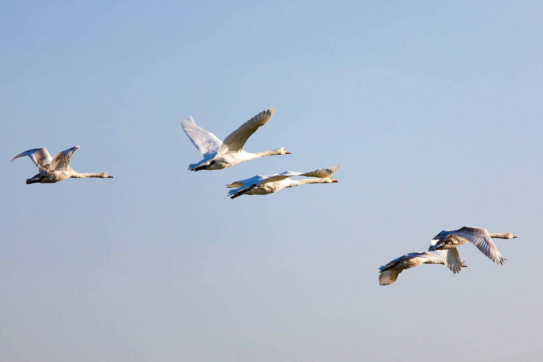 © 2015 Billy Hodgkins Photography All rights reserved.