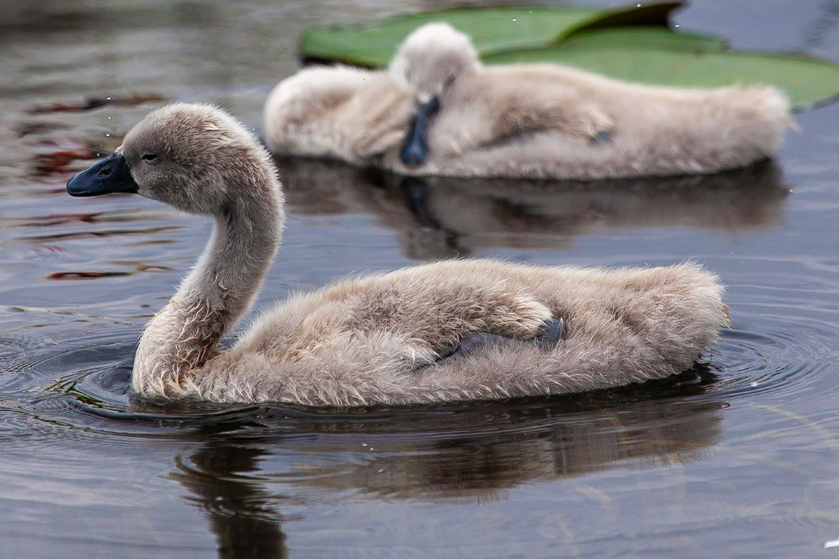 © 2020 Billy Hodgkins Photography All rights reserved.