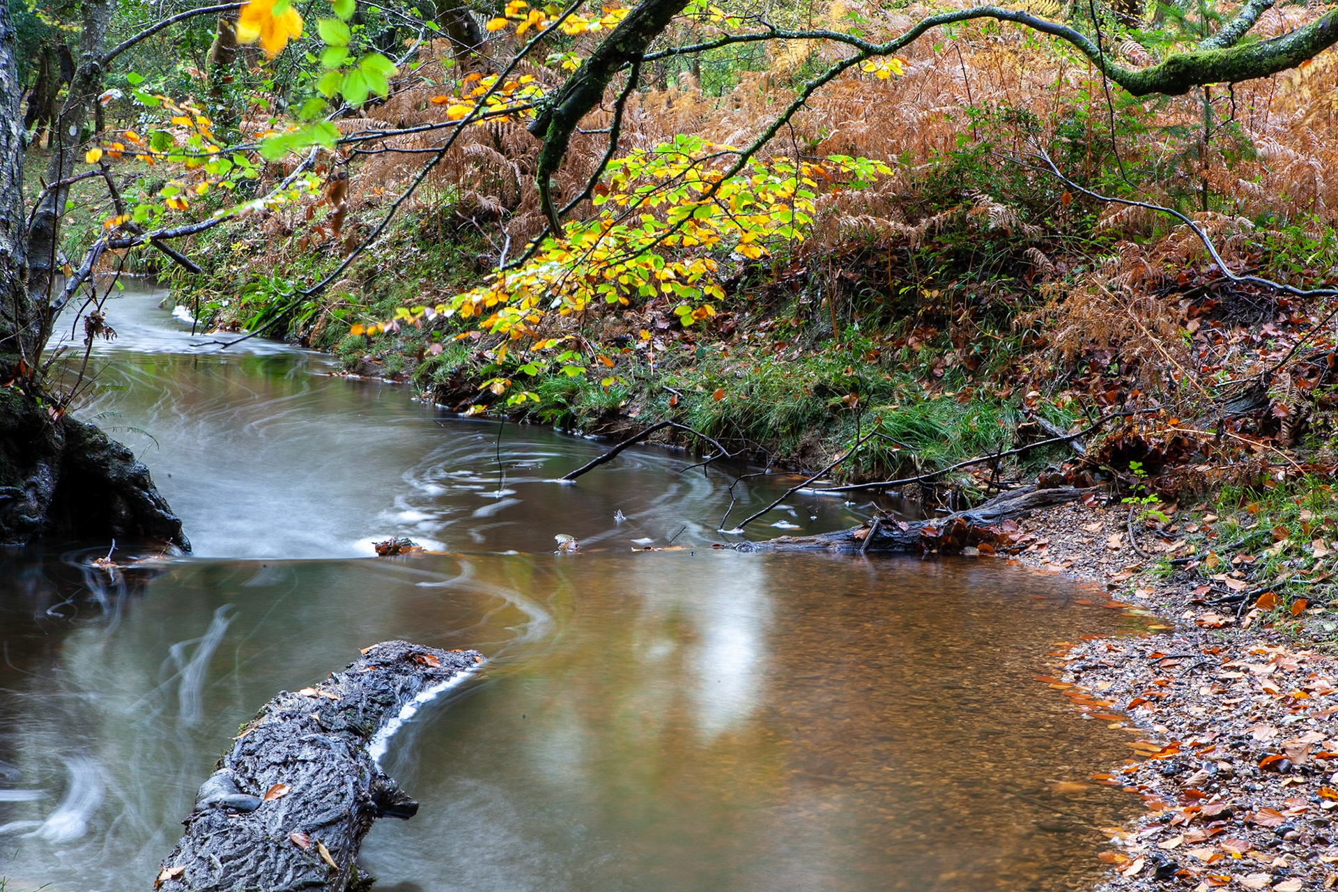 © 2020 Billy Hodgkins Photography All rights reserved.