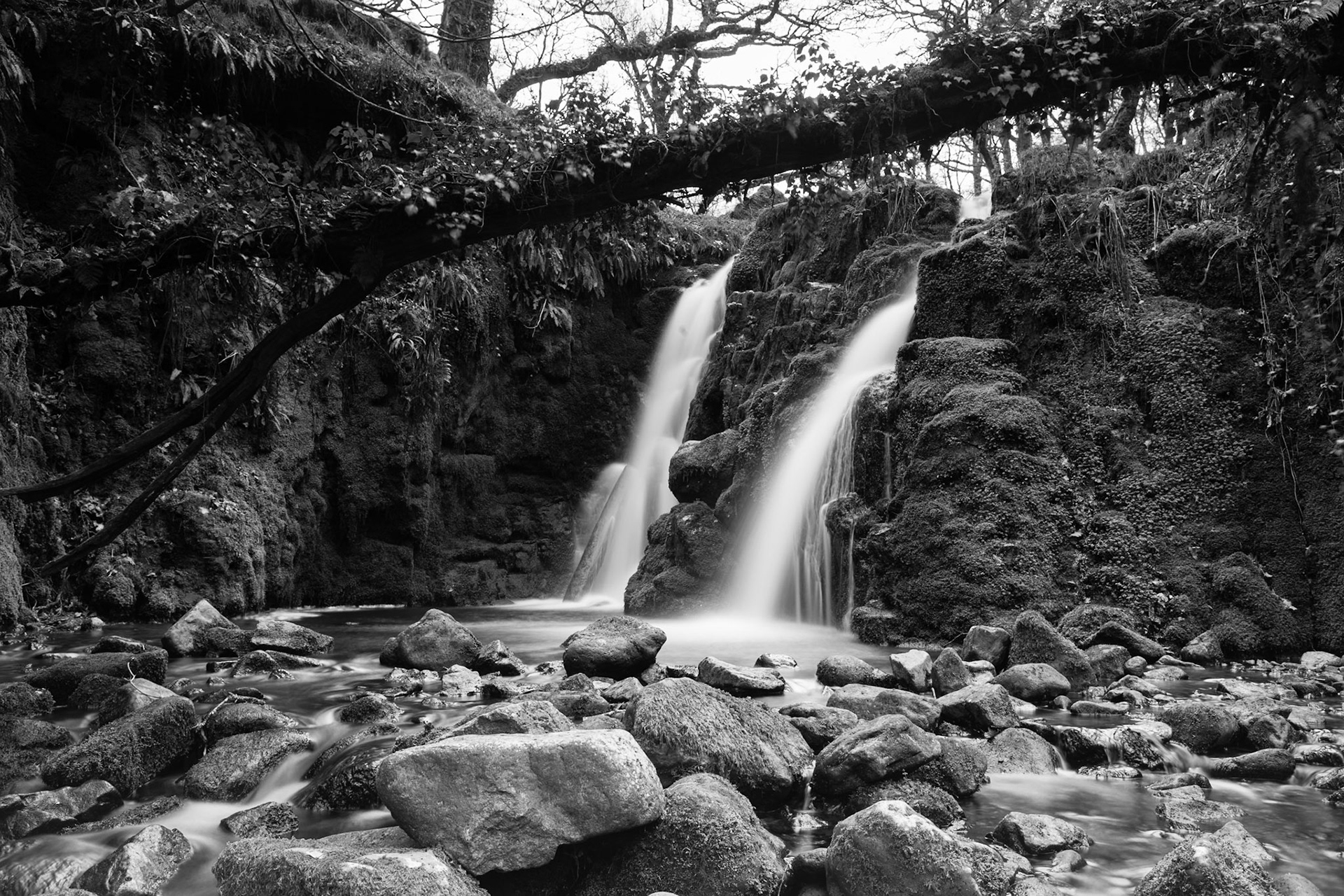 © 2017 Billy Hodgkins Photography All rights reserved.