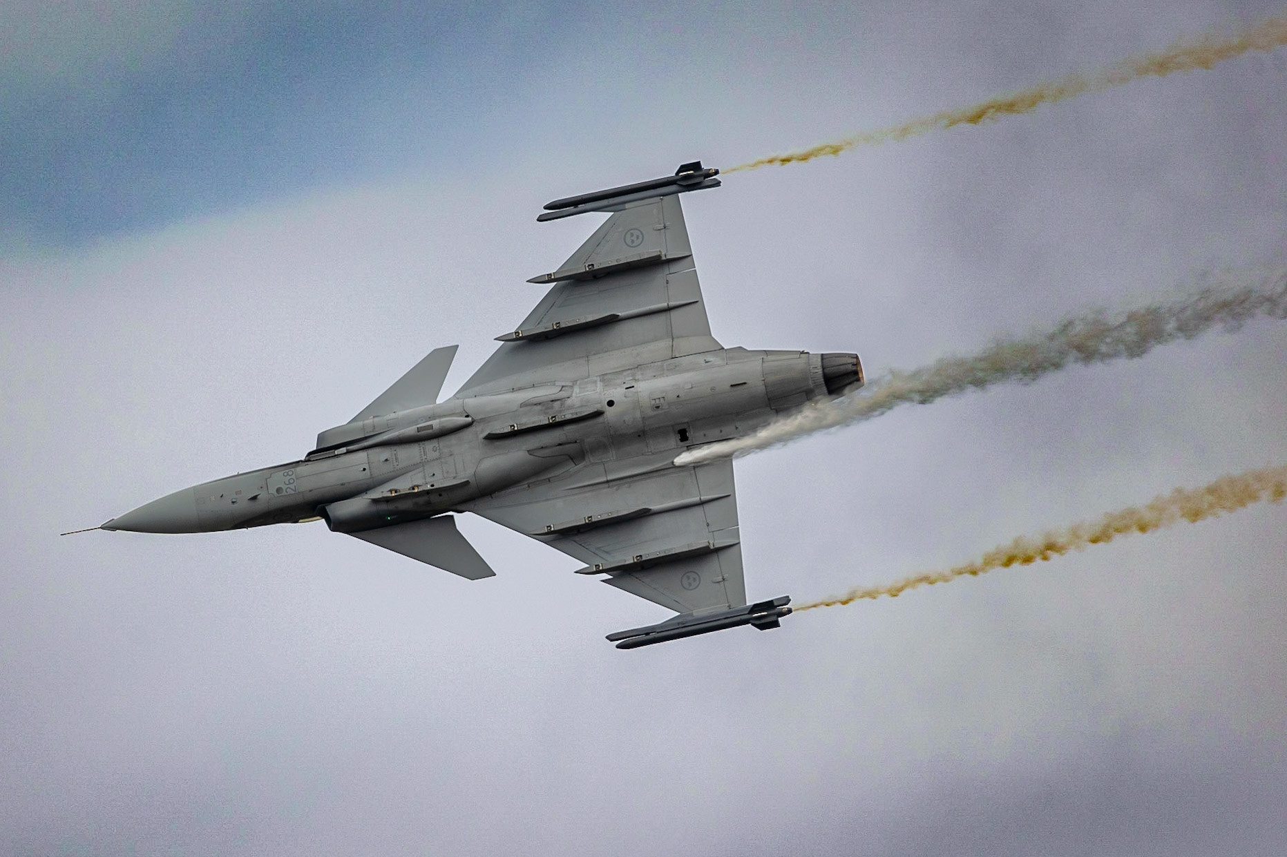 © 2023 Billy Hodgkins Photography All rights reserved.