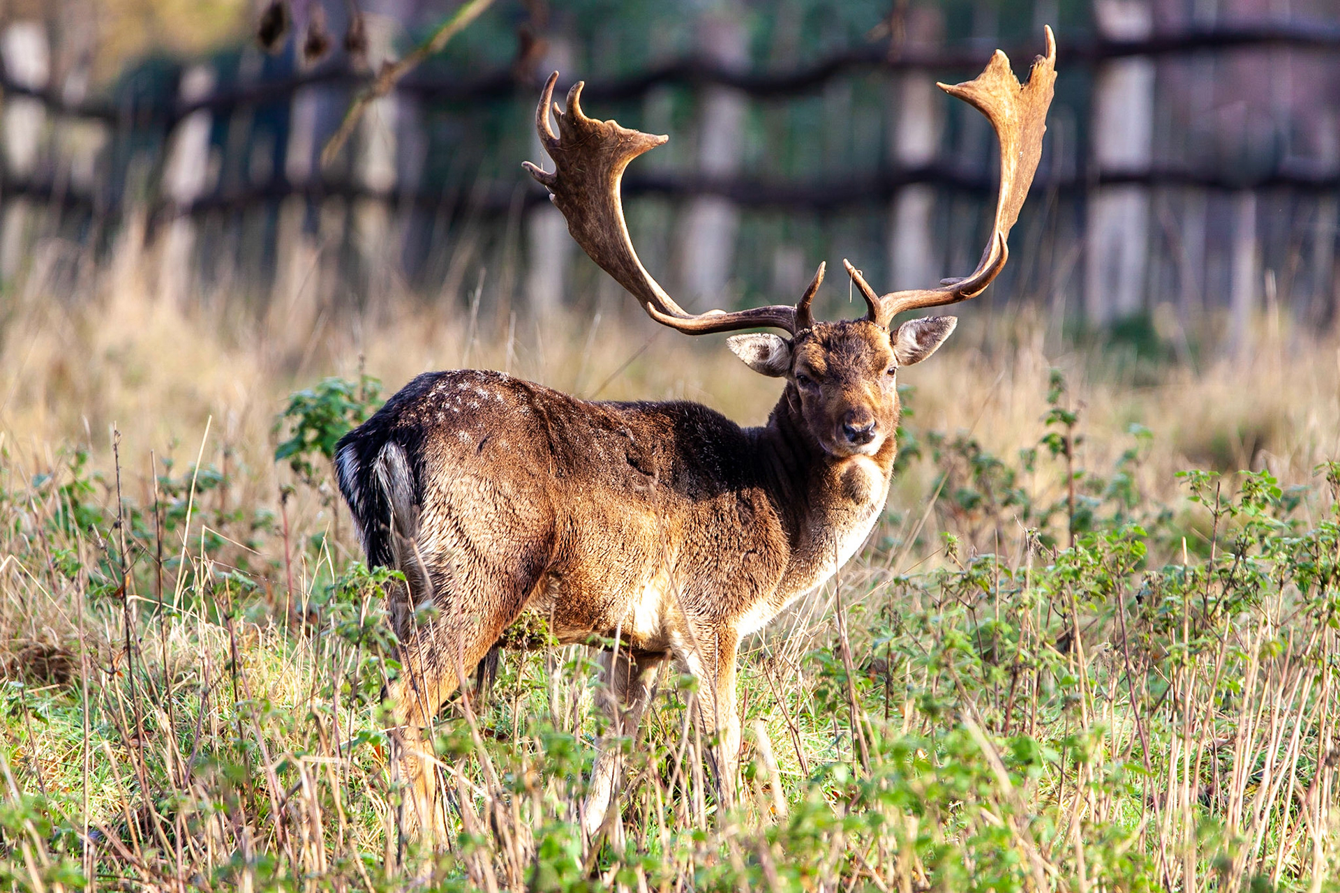 © 2019 Billy Hodgkins Photography All rights reserved.