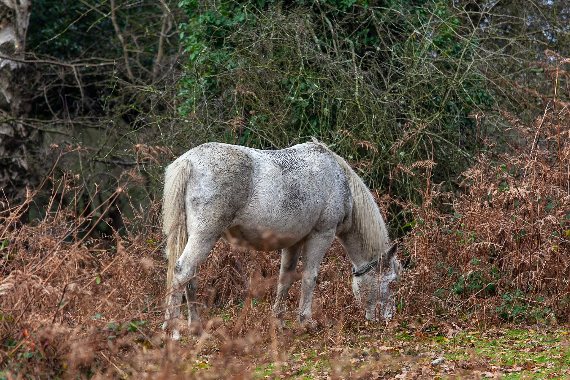 © 2018 Billy Hodgkins Photography All rights reserved.