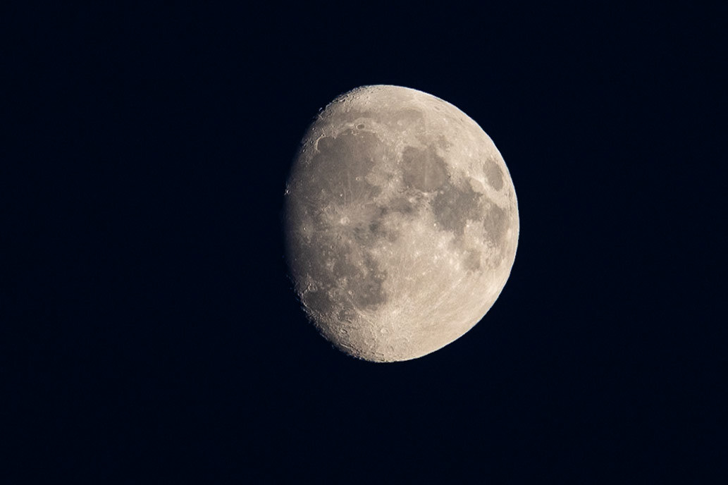 © 2024 Billy Hodgkins Photography All rights reserved.