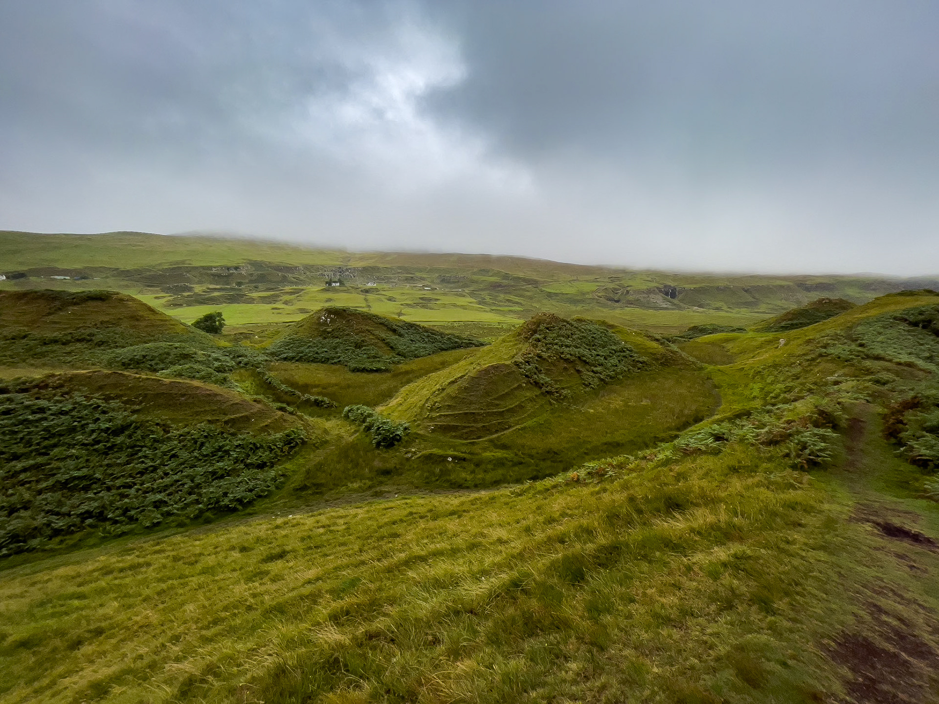 © 2021 Billy Hodgkins Photography All rights reserved.