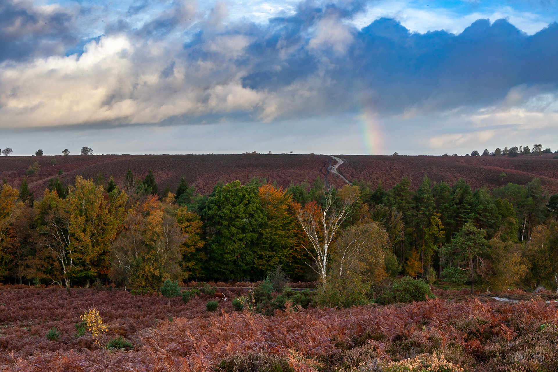 © 2020 Billy Hodgkins Photography All rights reserved.