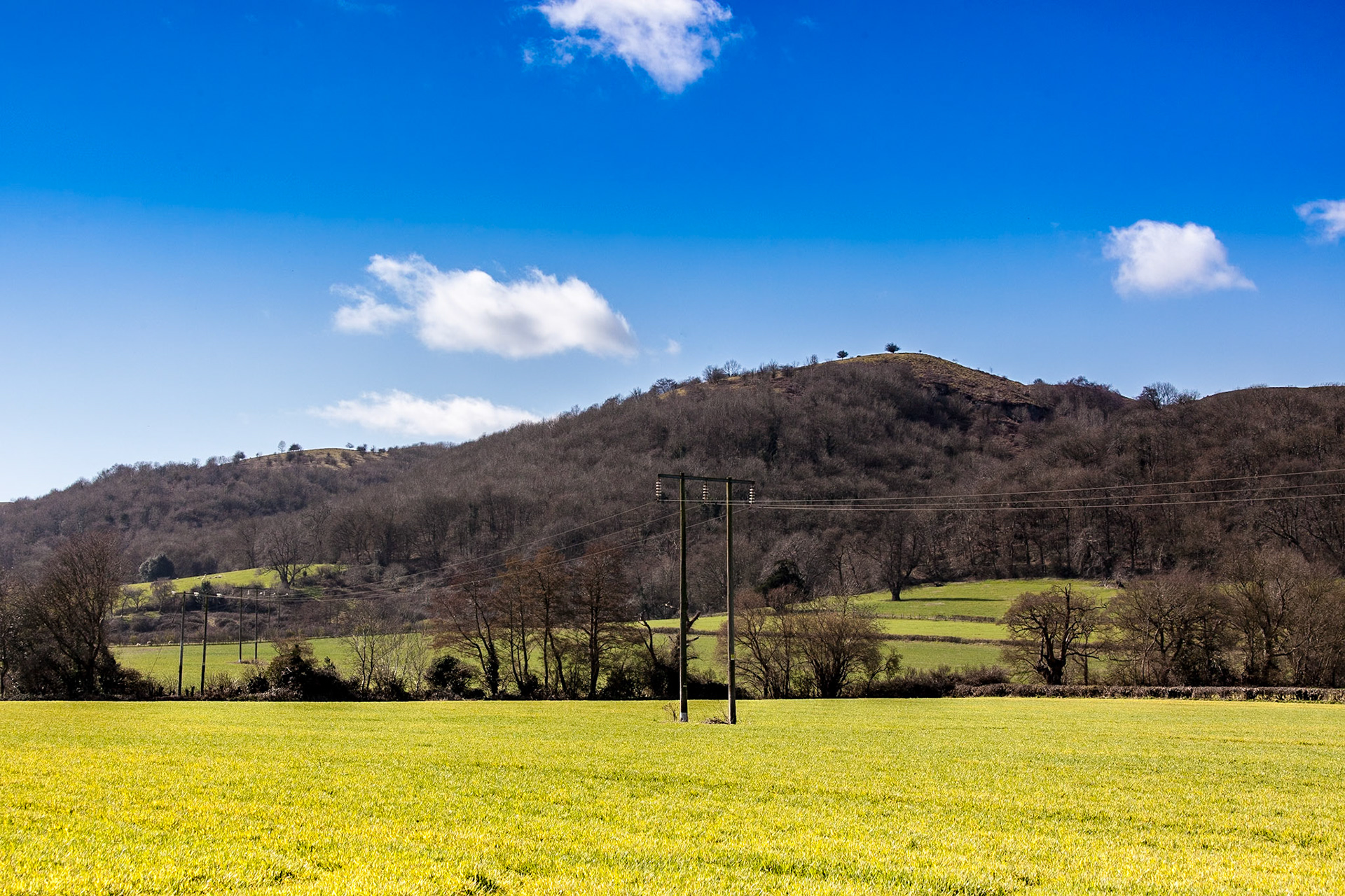 © 2016 Billy Hodgkins Photography All rights reserved.