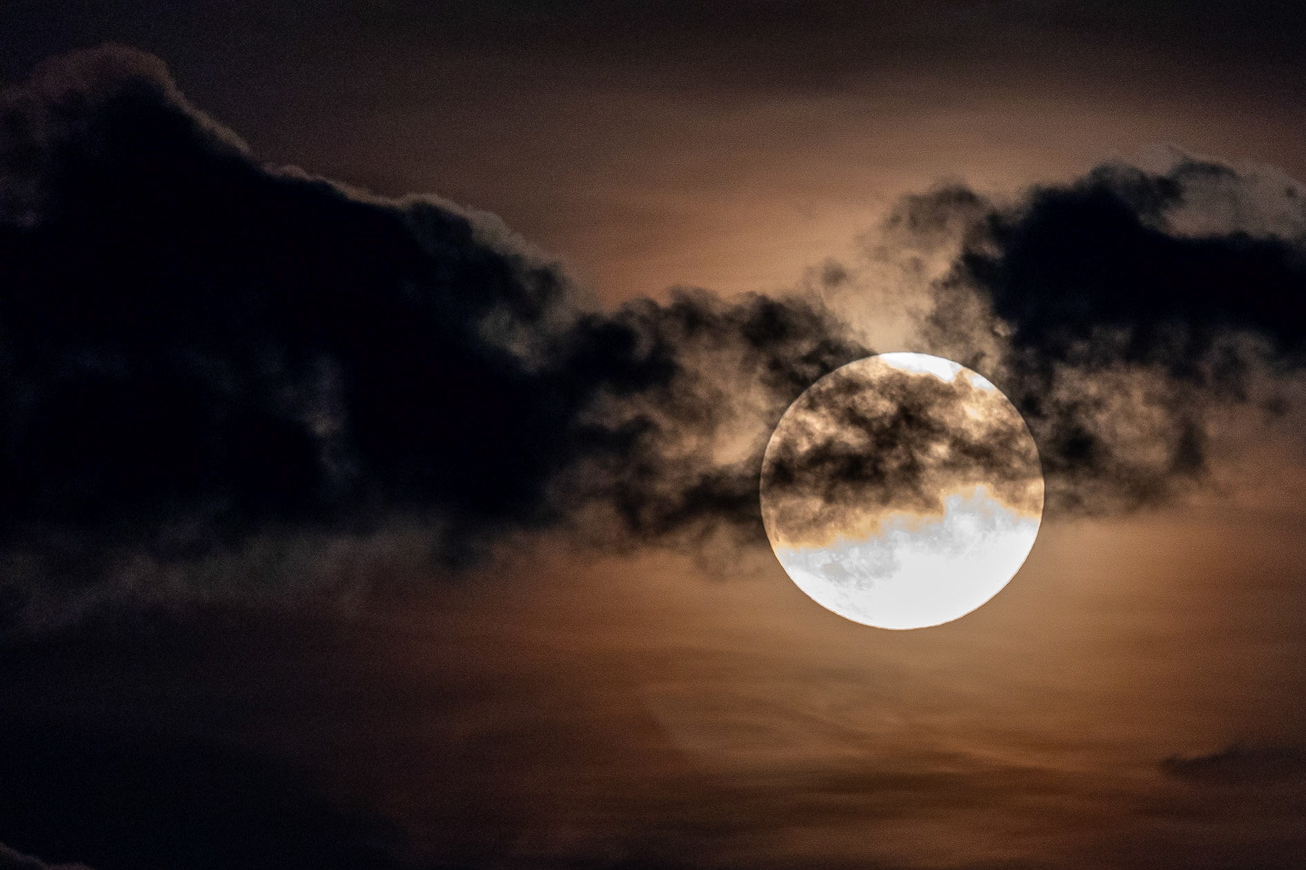 © 2023 Billy Hodgkins Photography All rights reserved.