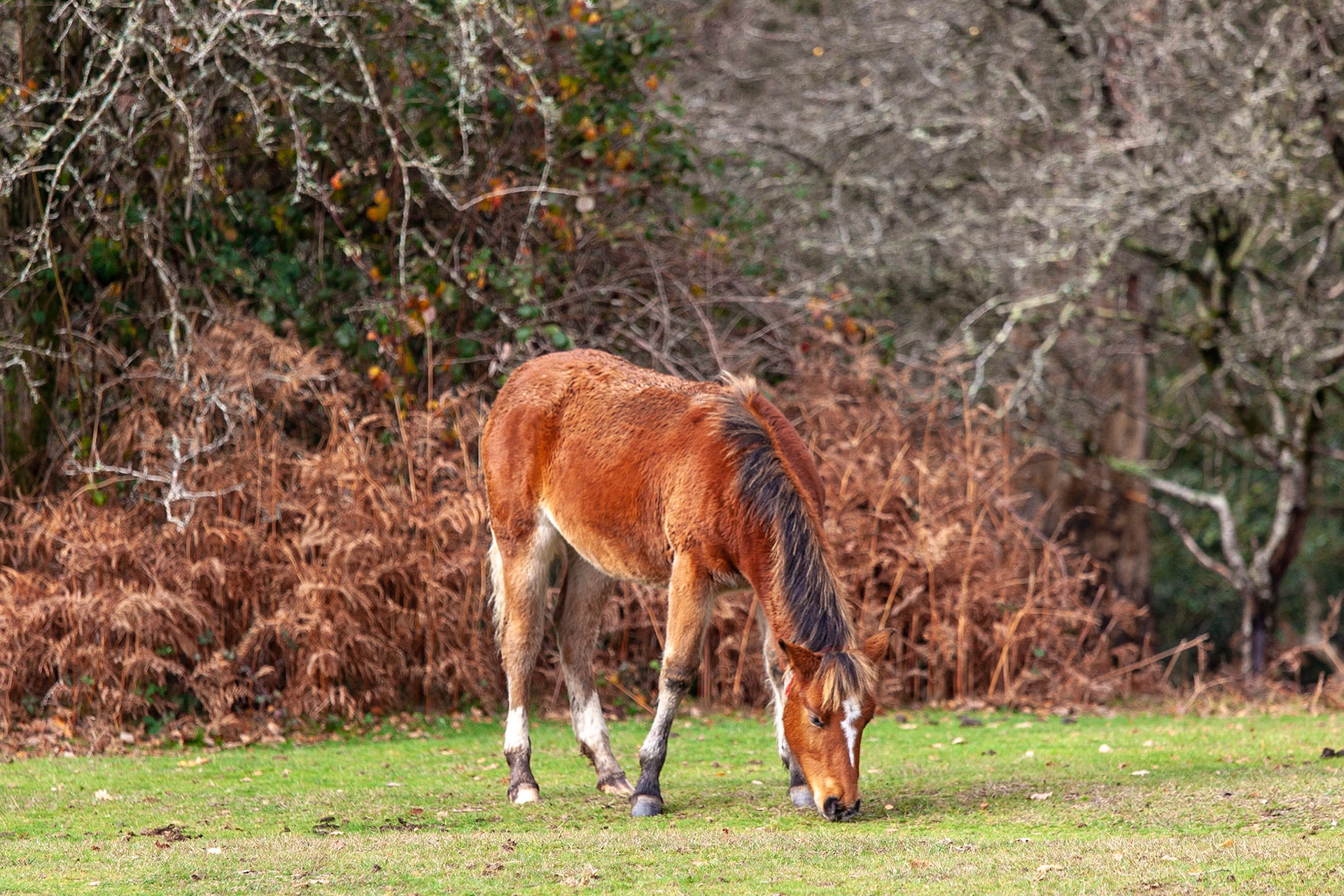 © 2018 Billy Hodgkins Photography All rights reserved.