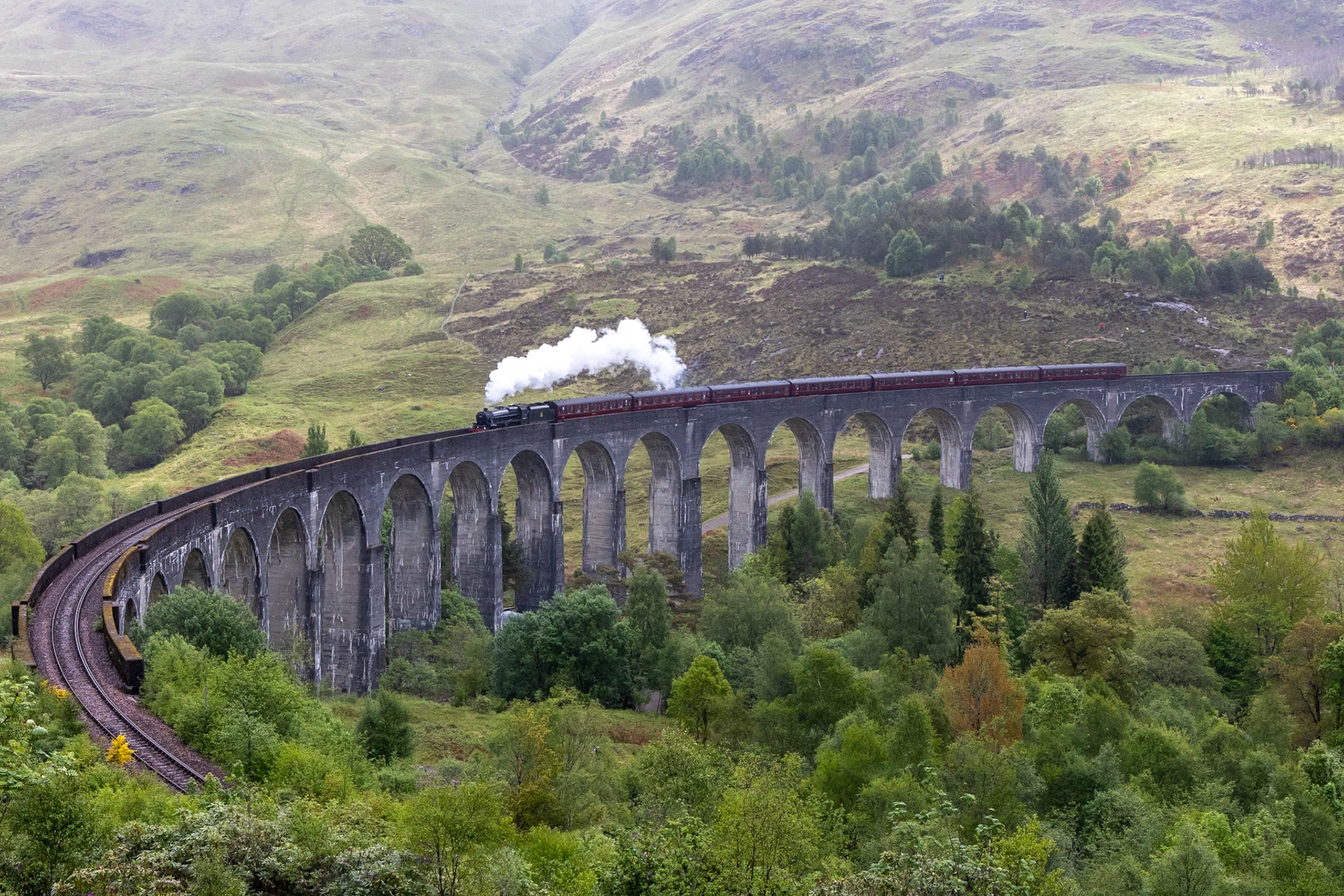 © 2023 Billy Hodgkins Photography All rights reserved.