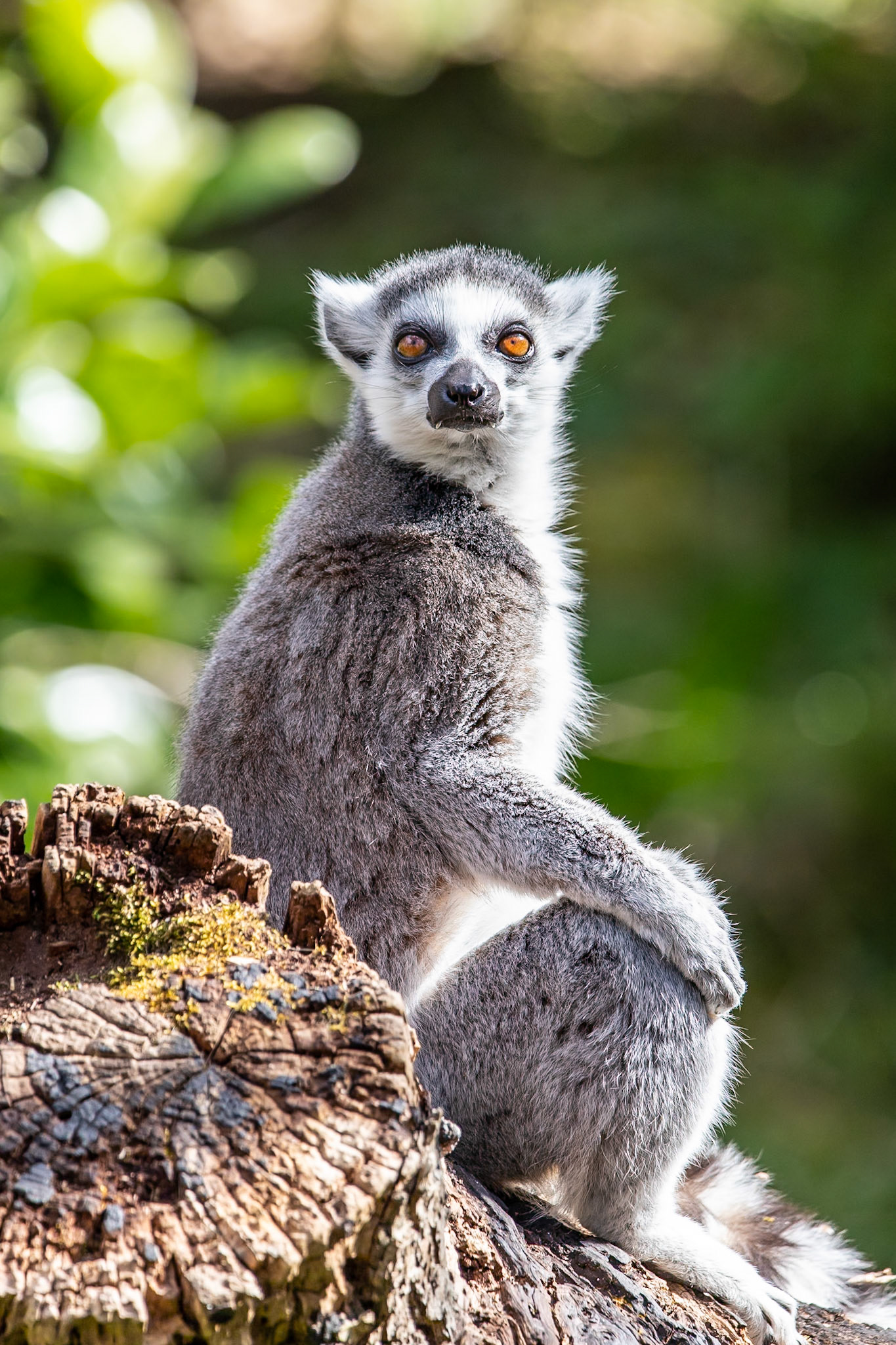 © 2021 Billy Hodgkins Photography All rights reserved.