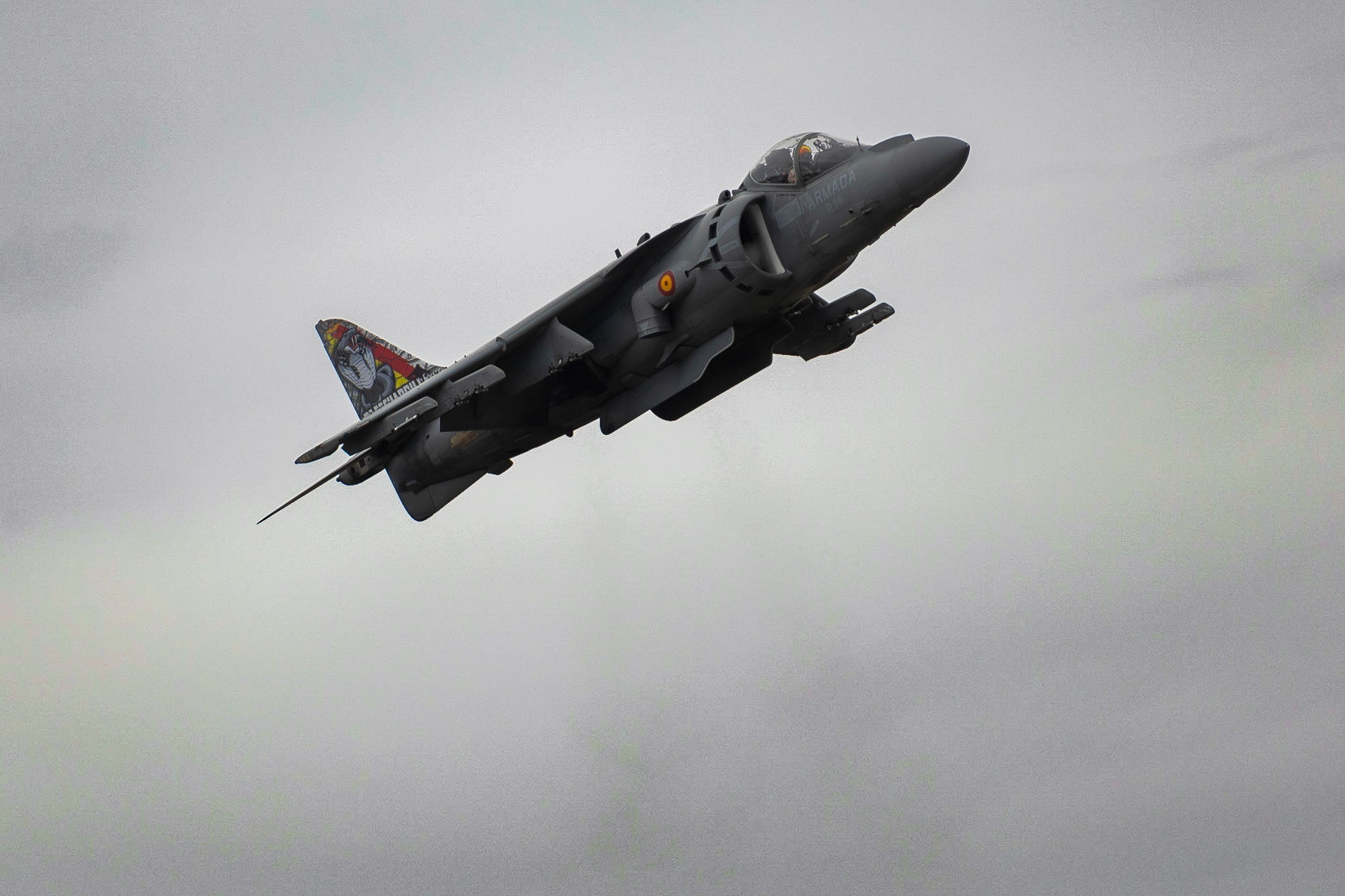 © 2023 Billy Hodgkins Photography All rights reserved.