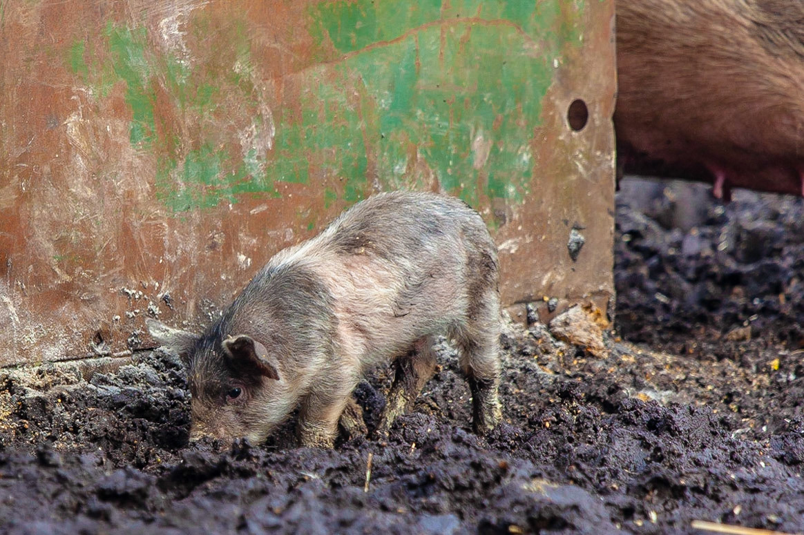 © 2018 Billy Hodgkins Photography All rights reserved.