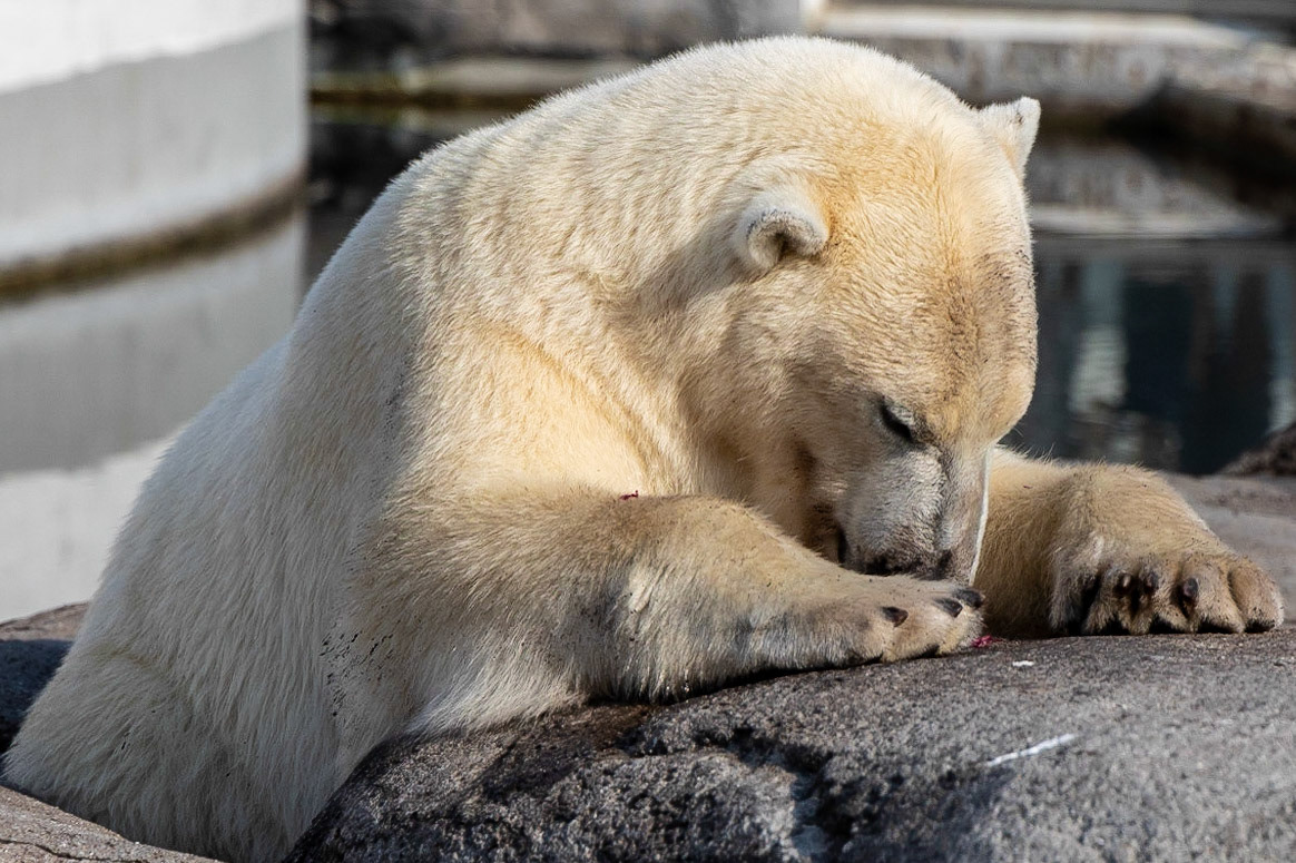 © 2023 Billy Hodgkins Photography All rights reserved.