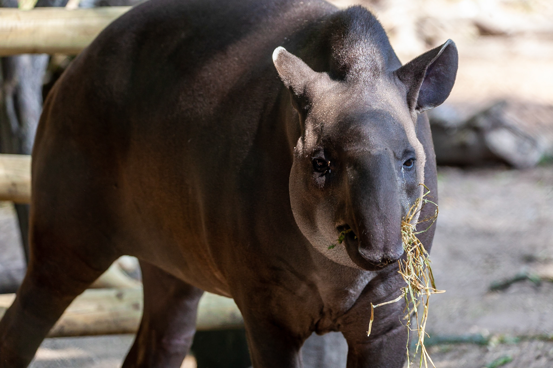 © 2020 Billy Hodgkins Photography All rights reserved.