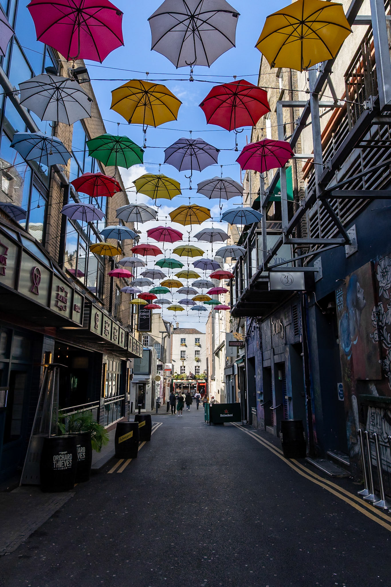 © 2023 Billy Hodgkins Photography All rights reserved.