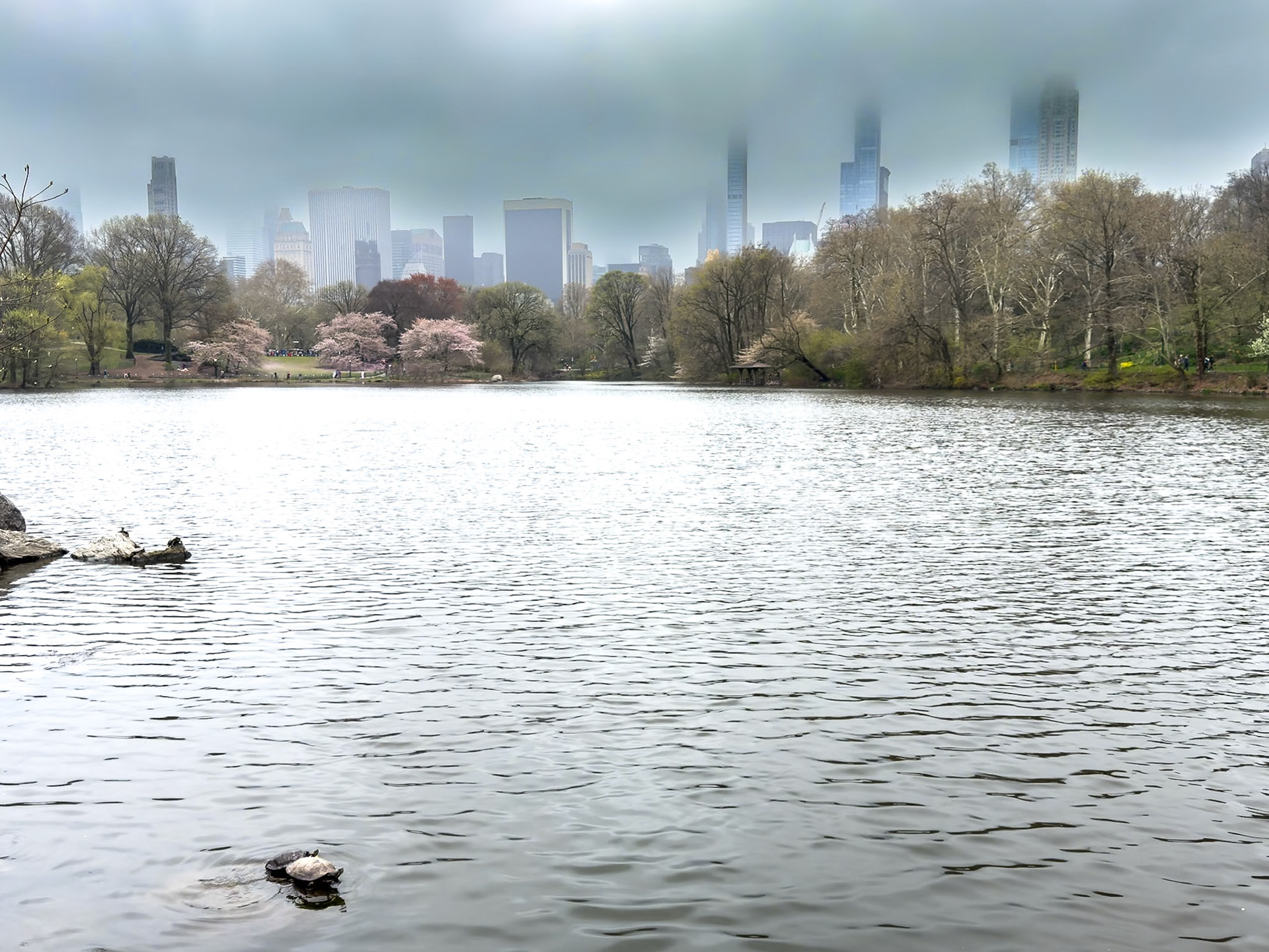 © 2024 Billy Hodgkins Photography All rights reserved.